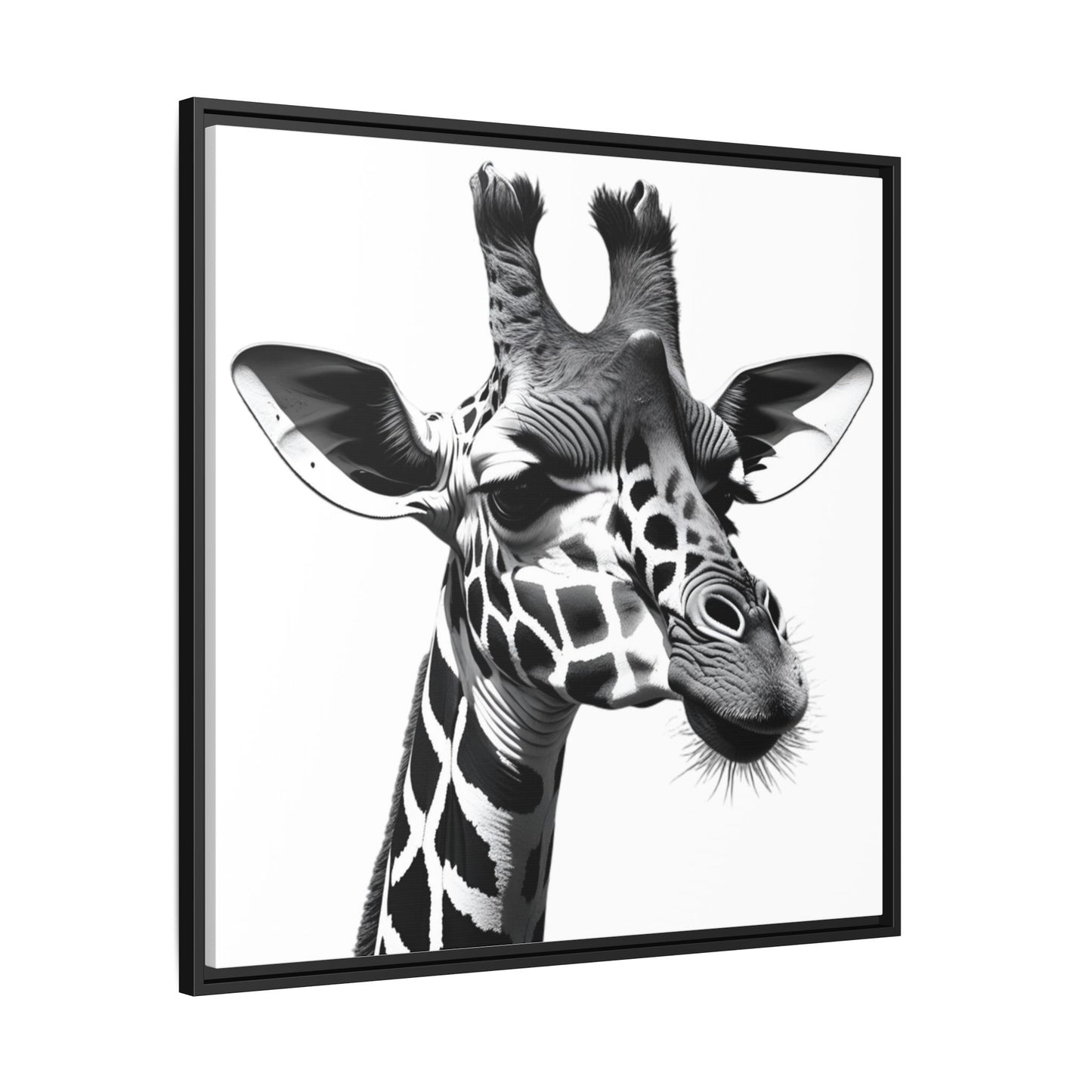 Black and White Giraffe Wall Art – Framed Safari Animal Canvas Print