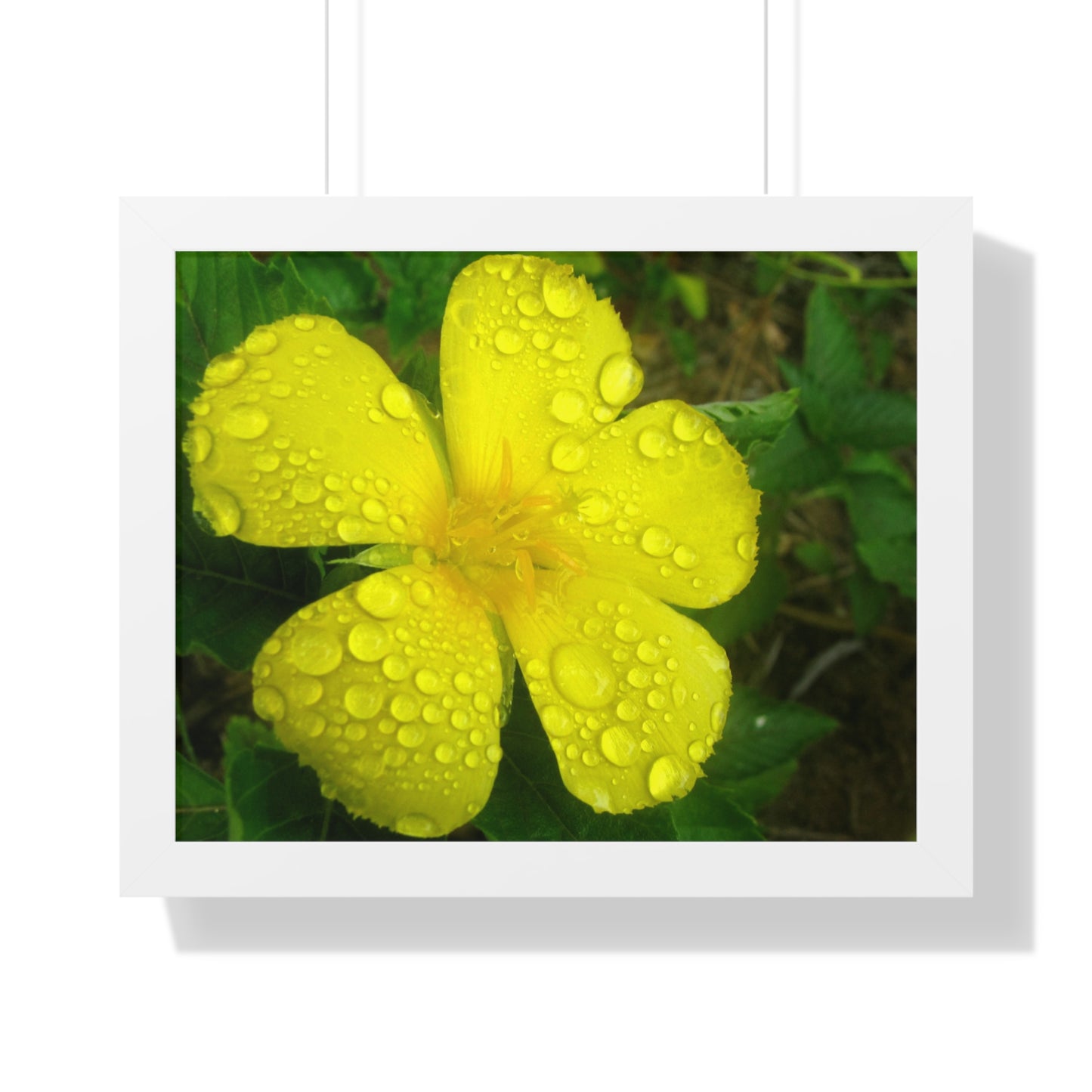 Rain Kissed Yellow Flower Framed Art – Elegant Botanical Wall Decor, Bright Nature Print for Living Room Bedroomift