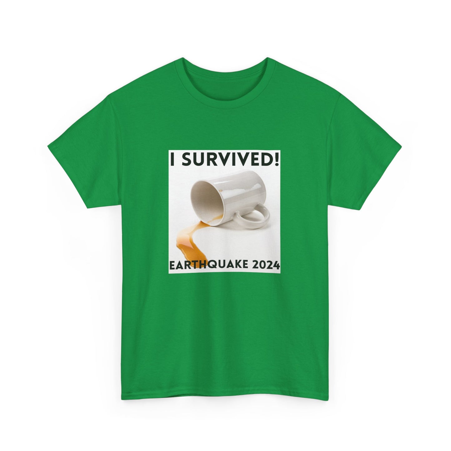 I Survived! Earthquake 2024 T-Shirt