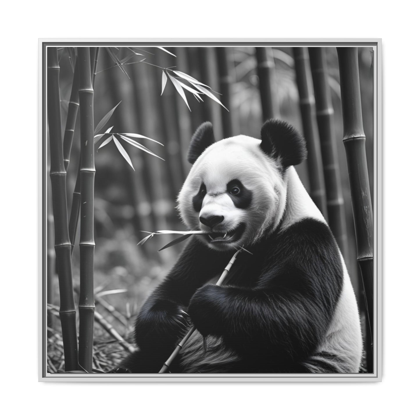 Black and white panda eating bamboo with a bamboo forest background