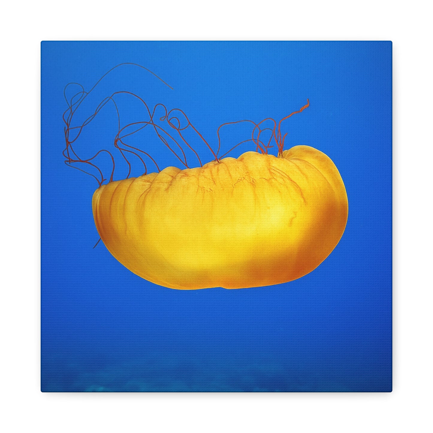 Golden Jellyfish Canvas Wall Art | Ocean Photography Print | Coastal Home Decor | Marine Life Artwork | Blue Sea Jellyfish Poster 1.25"