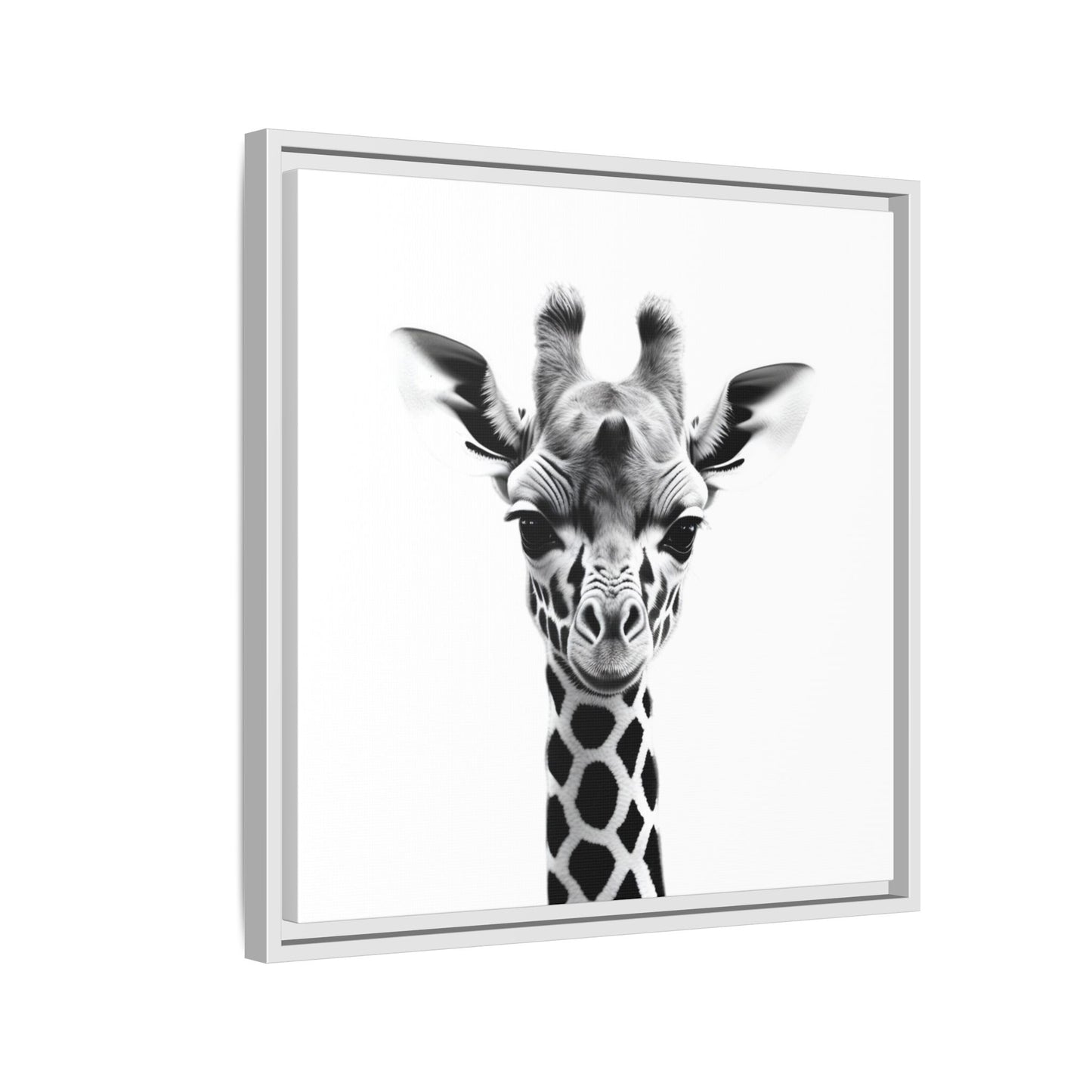 Baby Giraffe Wall Art Black & White Wildlife Photography Print, Cute Giraffe Lover Gift