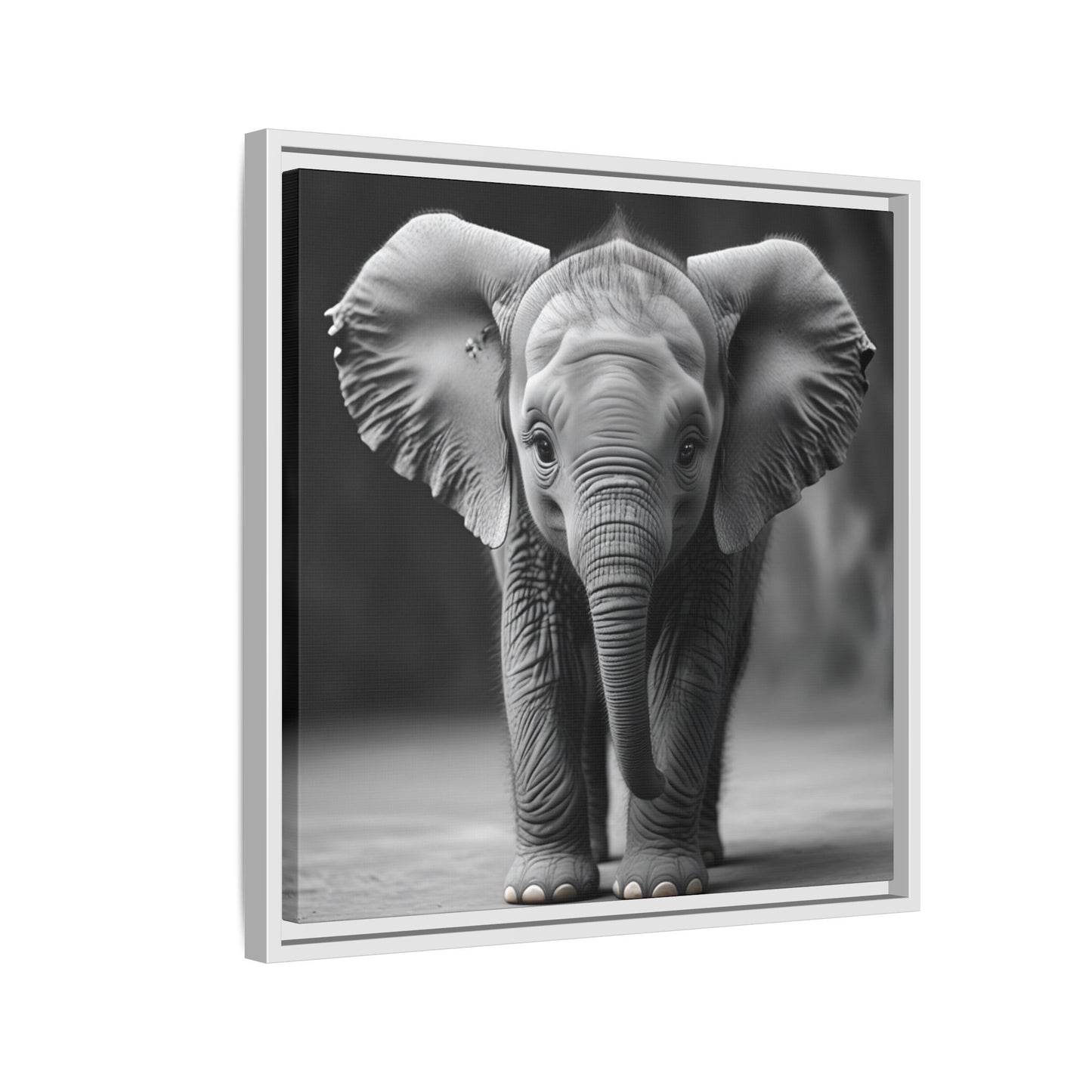 Adorable Baby Elephant Wall Art Black & White Wildlife Photography Print, Cute Safari Animal Home Decor, Elephant Lover Gift