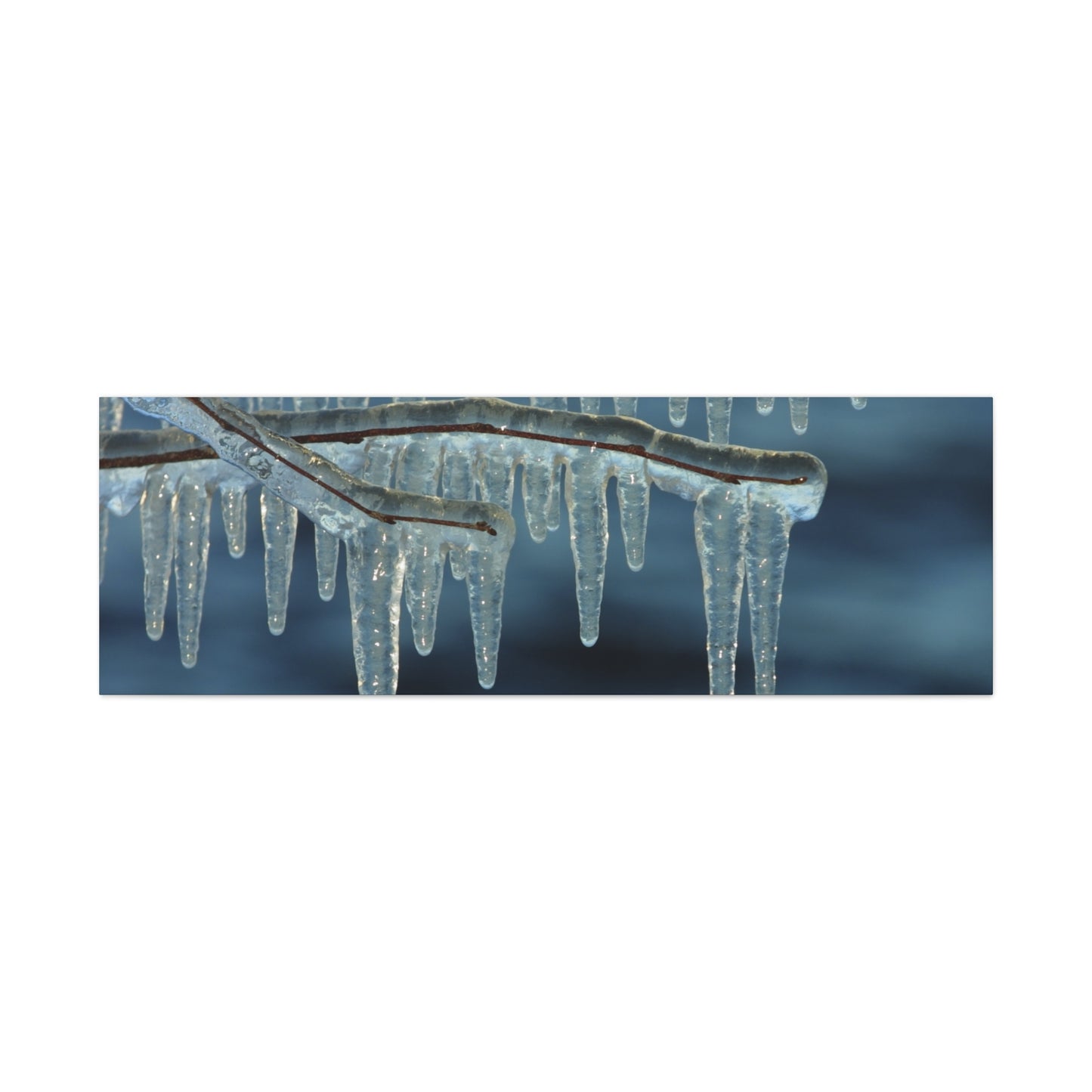 Icicles hanging from a branch against a dark blue sky