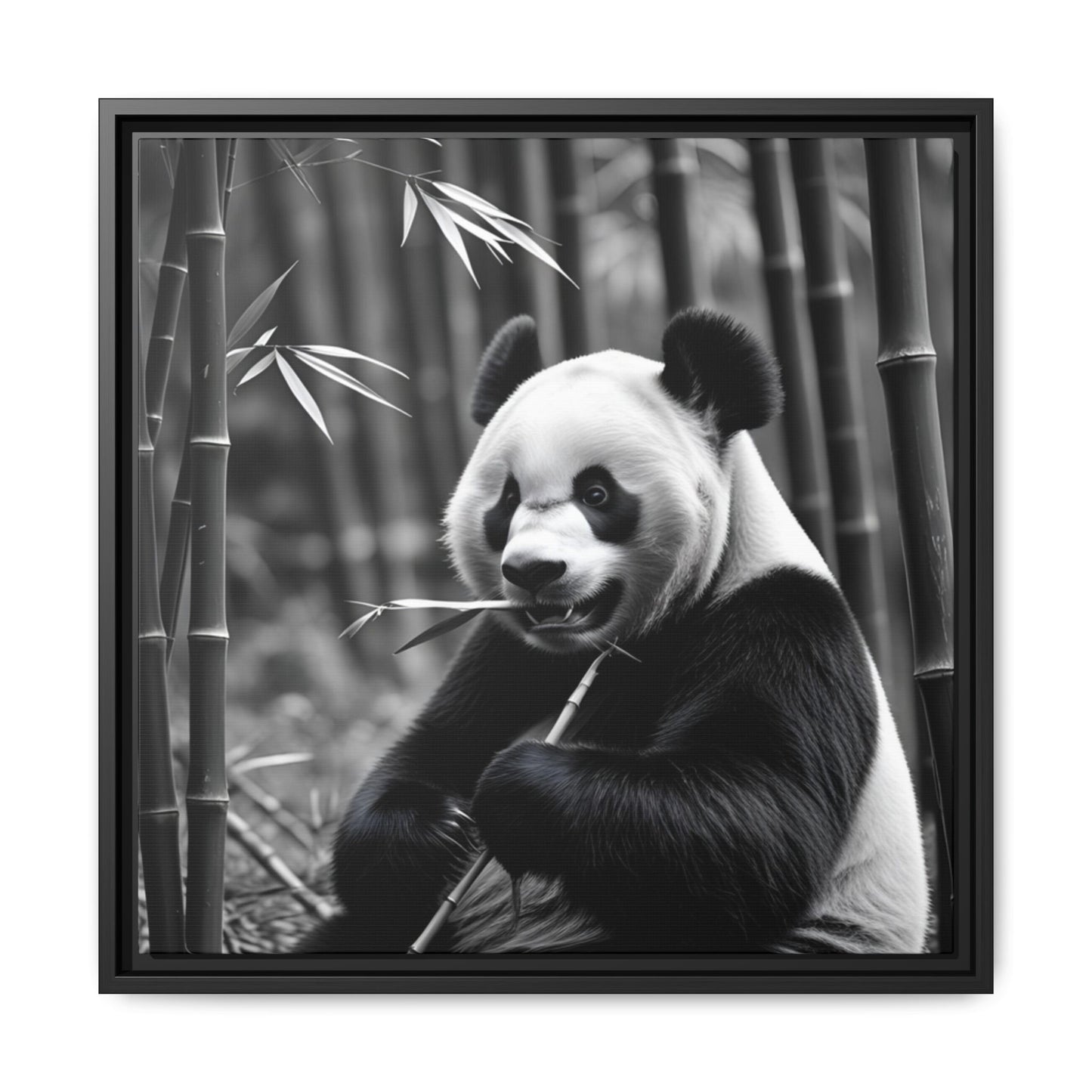 Framed black and white photograph of a panda bear holding bamboo