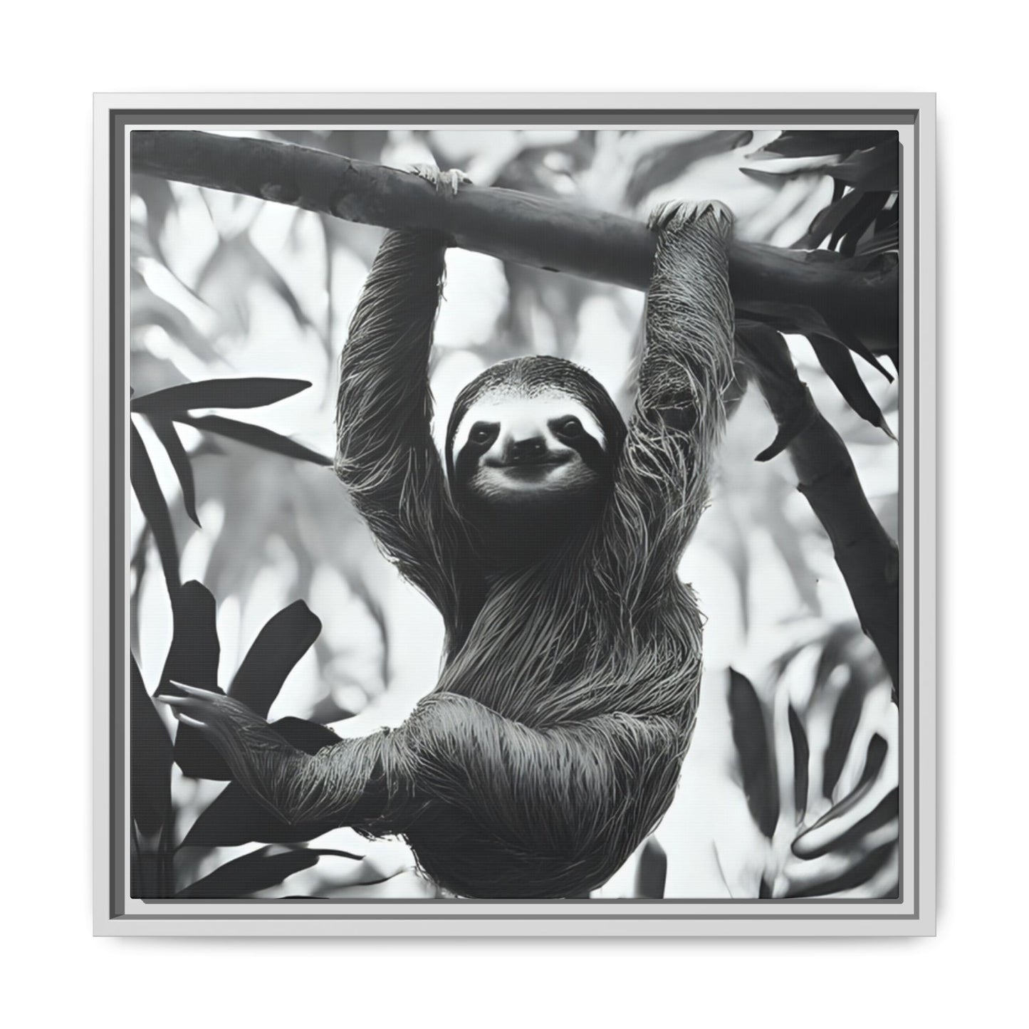Playful Sloth Hanging from Tree Branch Black & White Animal Wall Art, Cute Sloth Photography Print, Jungle Theme Home Deco