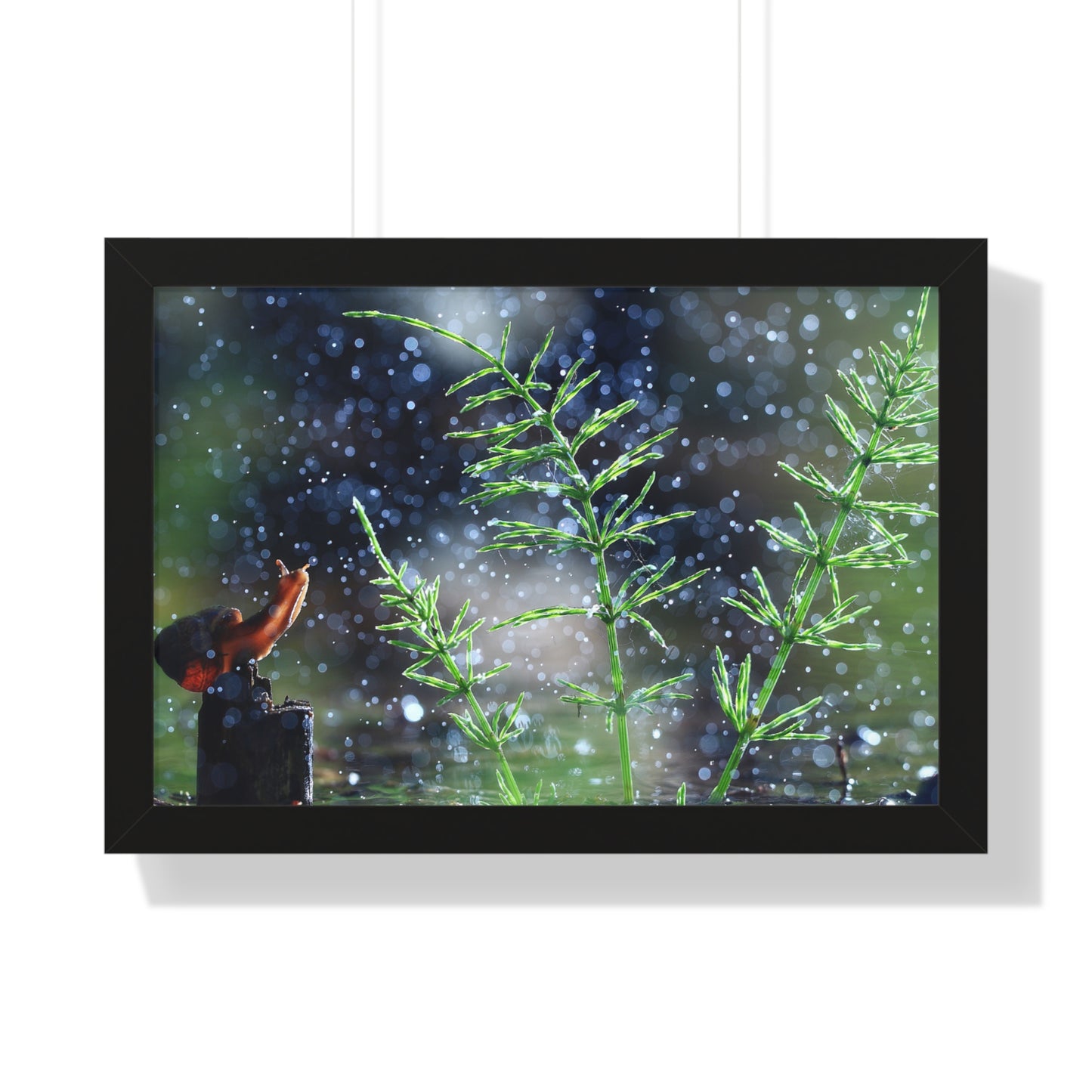 Snail Nature Wall Art – Rain Macro Botanical Print, Zen Forest Decor, Moody Nature, Calm Mindfulness Wall Art