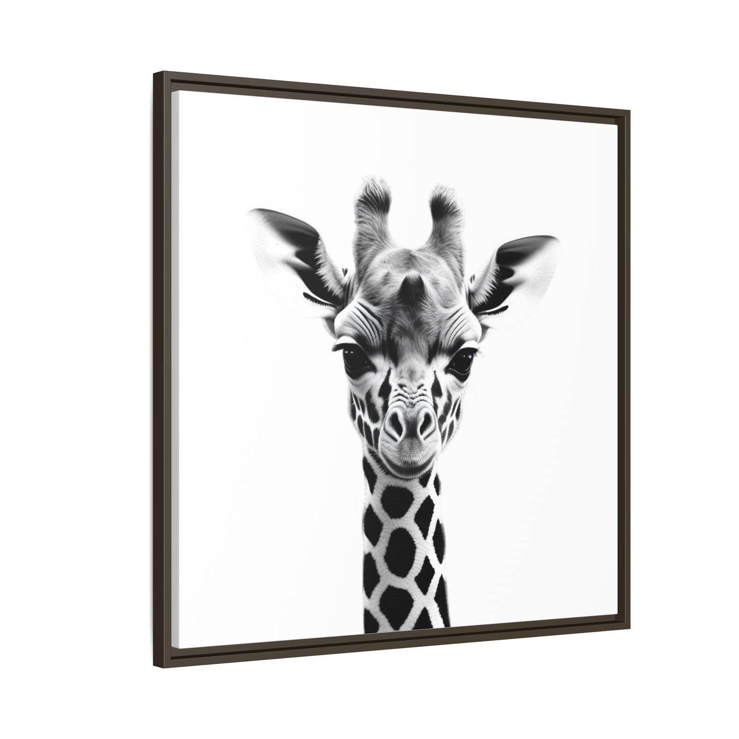 Baby Giraffe Wall Art Black & White Wildlife Photography Print, Cute Giraffe Lover Gift