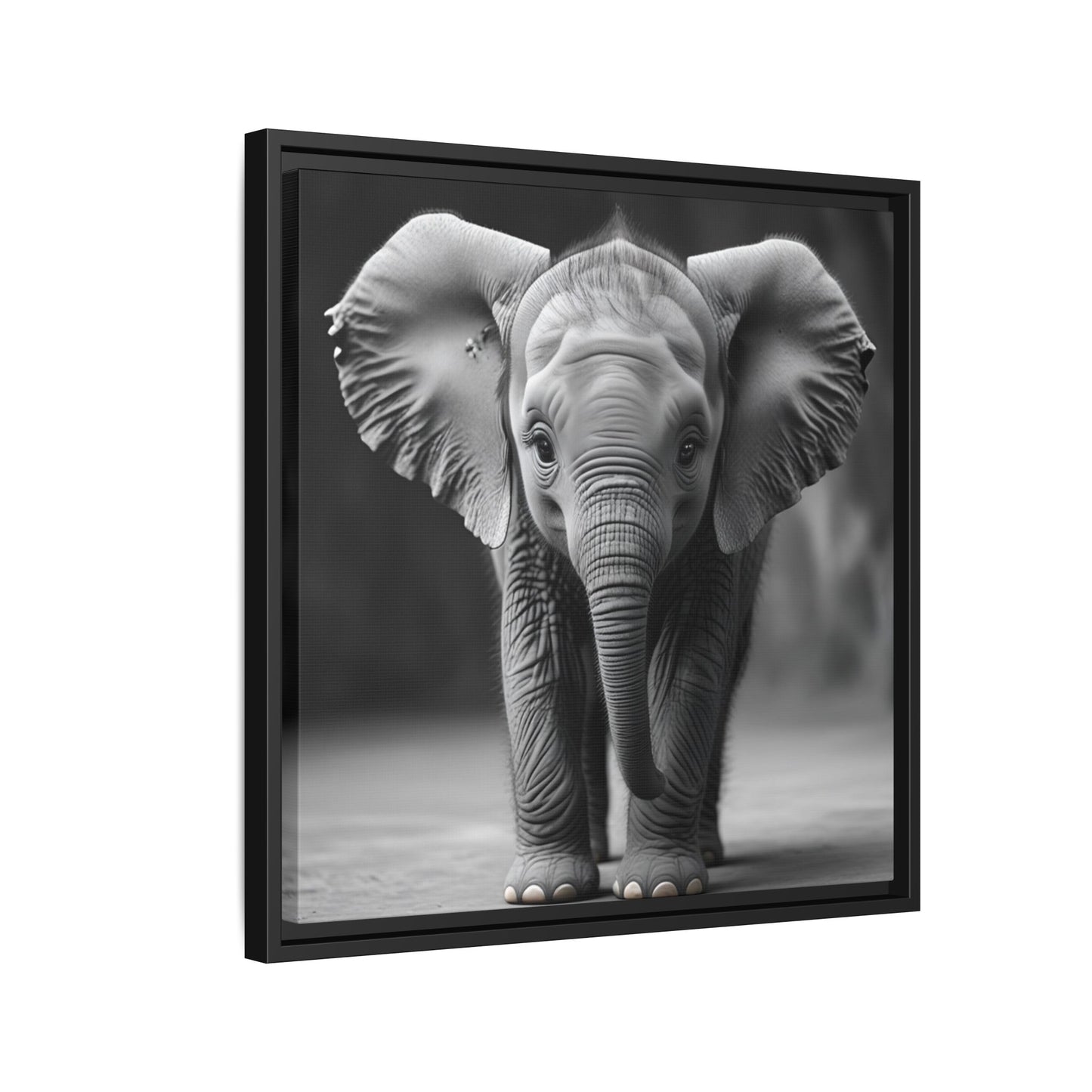 Adorable Baby Elephant Wall Art Black & White Wildlife Photography Print, Cute Safari Animal Home Decor, Elephant Lover Gift