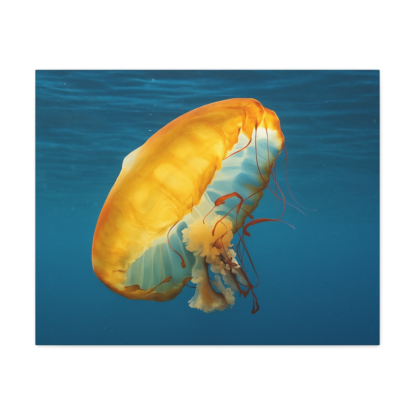 Jellyfish swimming in clear blue water