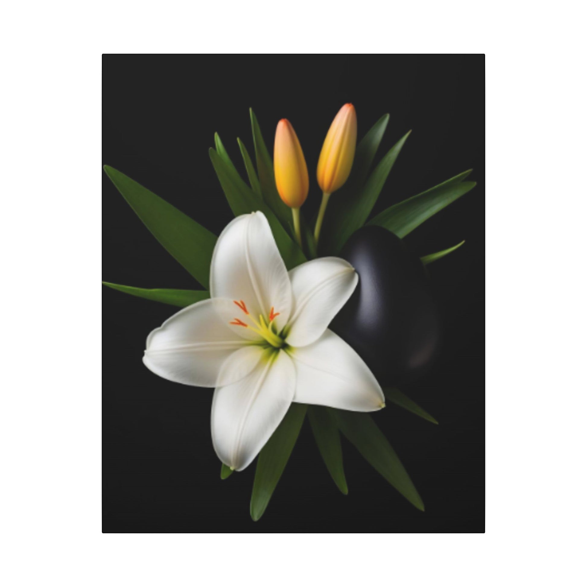 White lily with green leaves and yellow buds on a black background