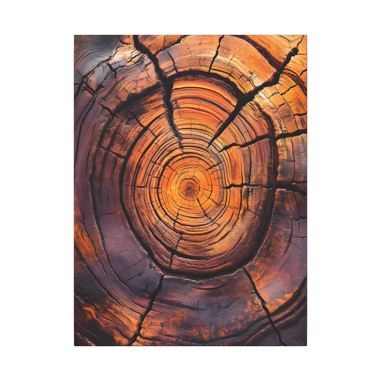 Close-up of a tree stump with visible rings on a white background