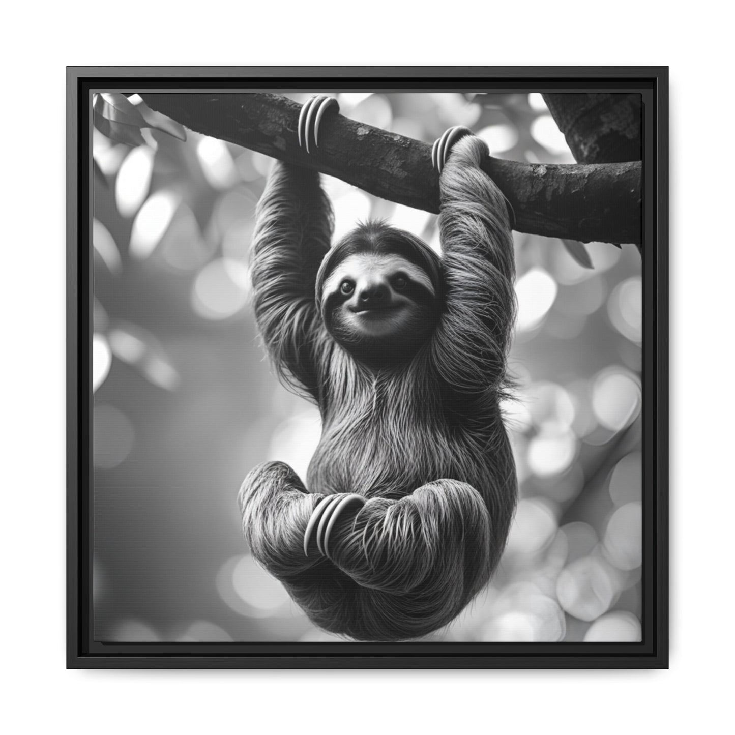 Black and White Sloth Framed Canvas Wall Art, Minimalist Animal Print, Modern Jungle Wildlife Home Decor, Sloth Lover Gift, Monochrome Image