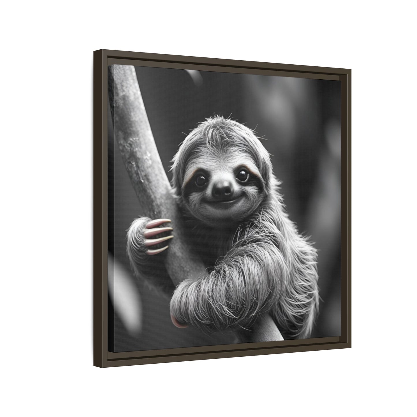 Framed artwork of a sloth hanging from a branch on a white background