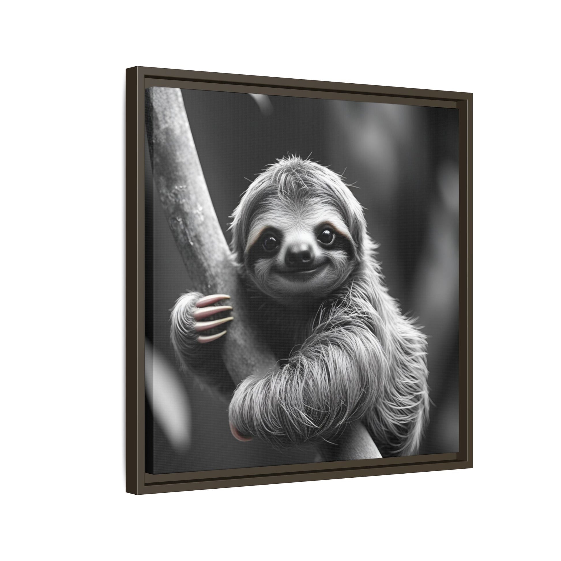Framed artwork of a sloth hanging from a branch on a white background