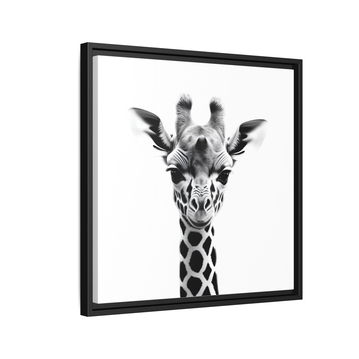Baby Giraffe Wall Art Black & White Wildlife Photography Print, Cute Giraffe Lover Gift