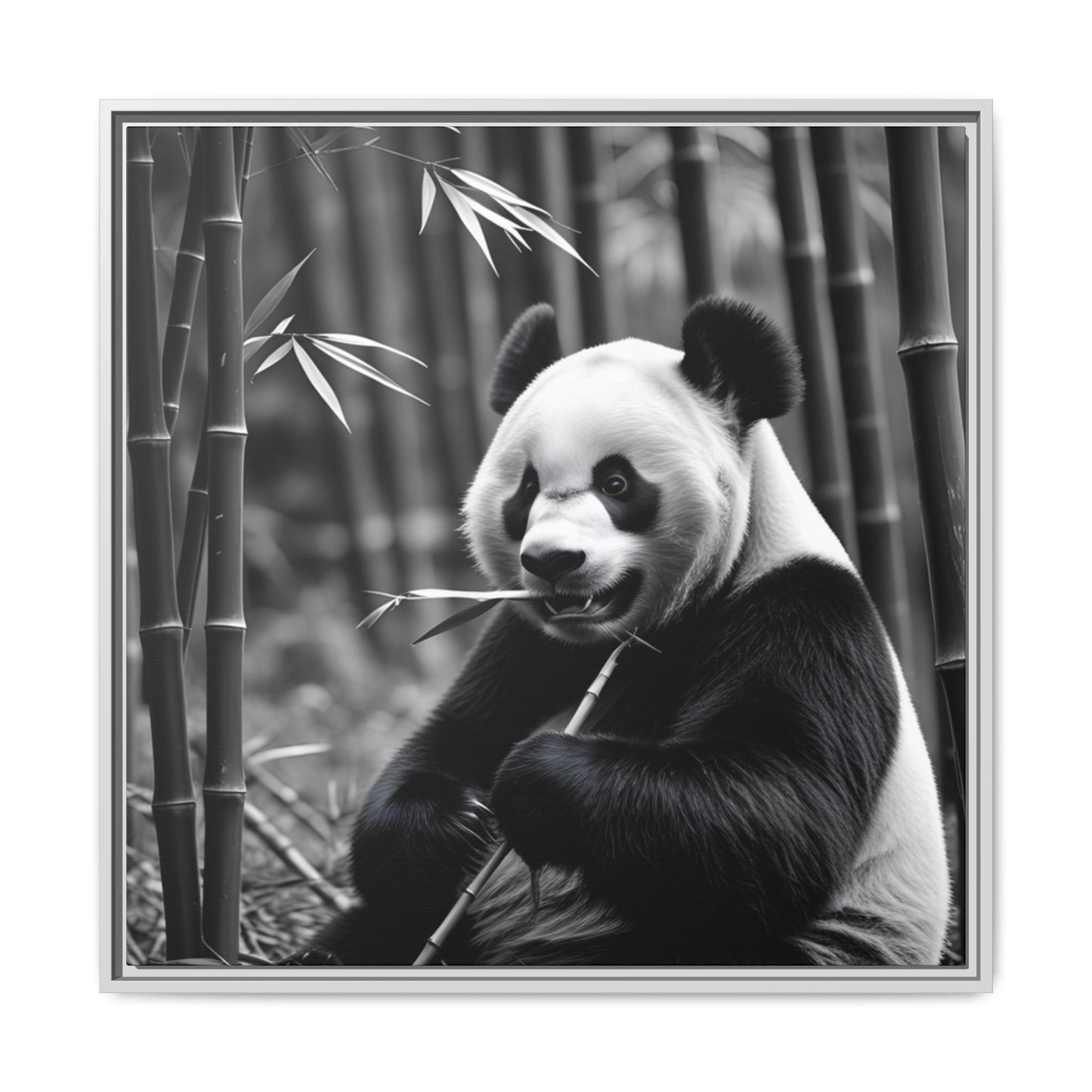 Black and white panda eating bamboo with a bamboo forest background