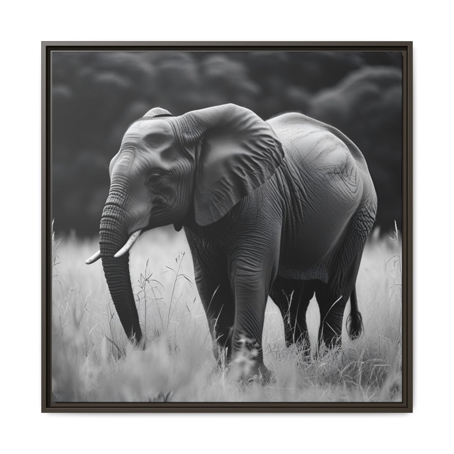 Black and white photo of an elephant in a grassy field with a black frame.