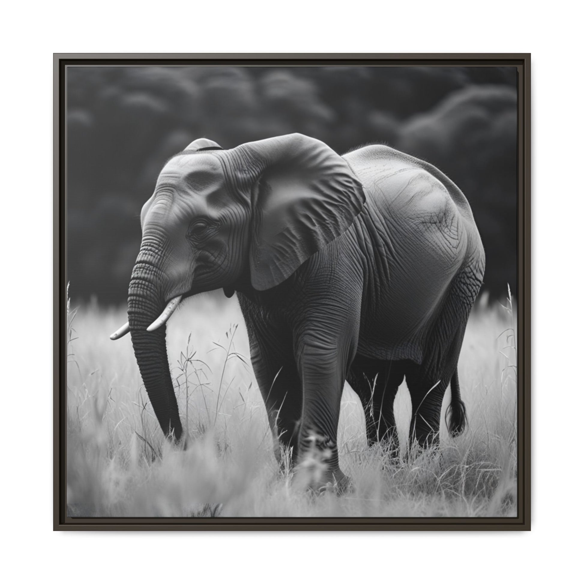Black and white photo of an elephant in a grassy field with a black frame.