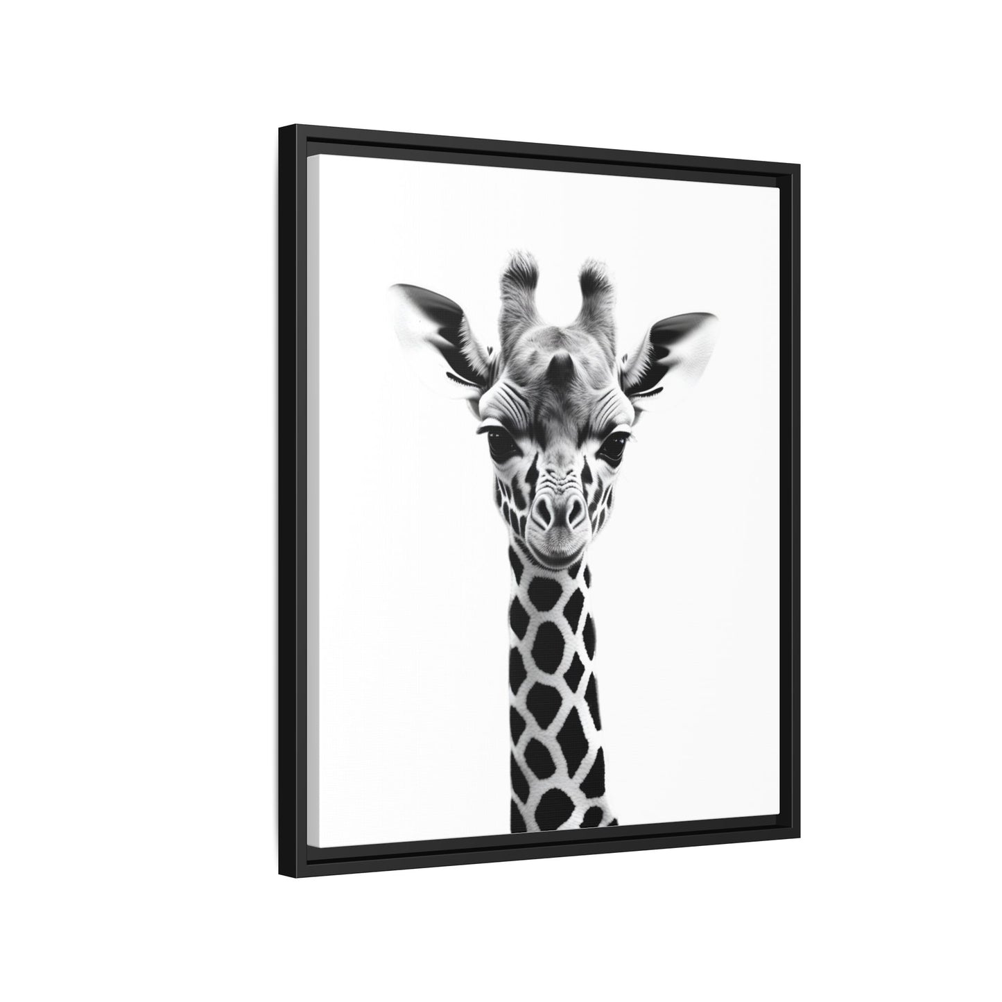 Baby Giraffe Wall Art Black & White Wildlife Photography Print, Cute Giraffe Lover Gift