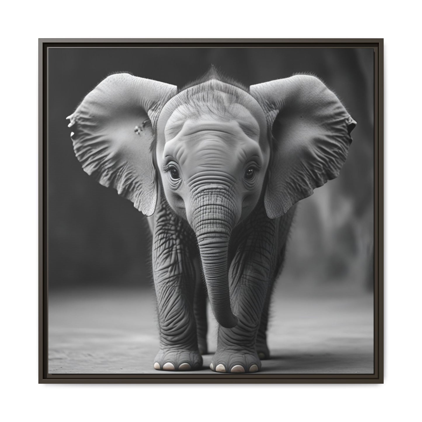 Adorable Baby Elephant Wall Art Black & White Wildlife Photography Print, Cute Safari Animal Home Decor, Elephant Lover Gift
