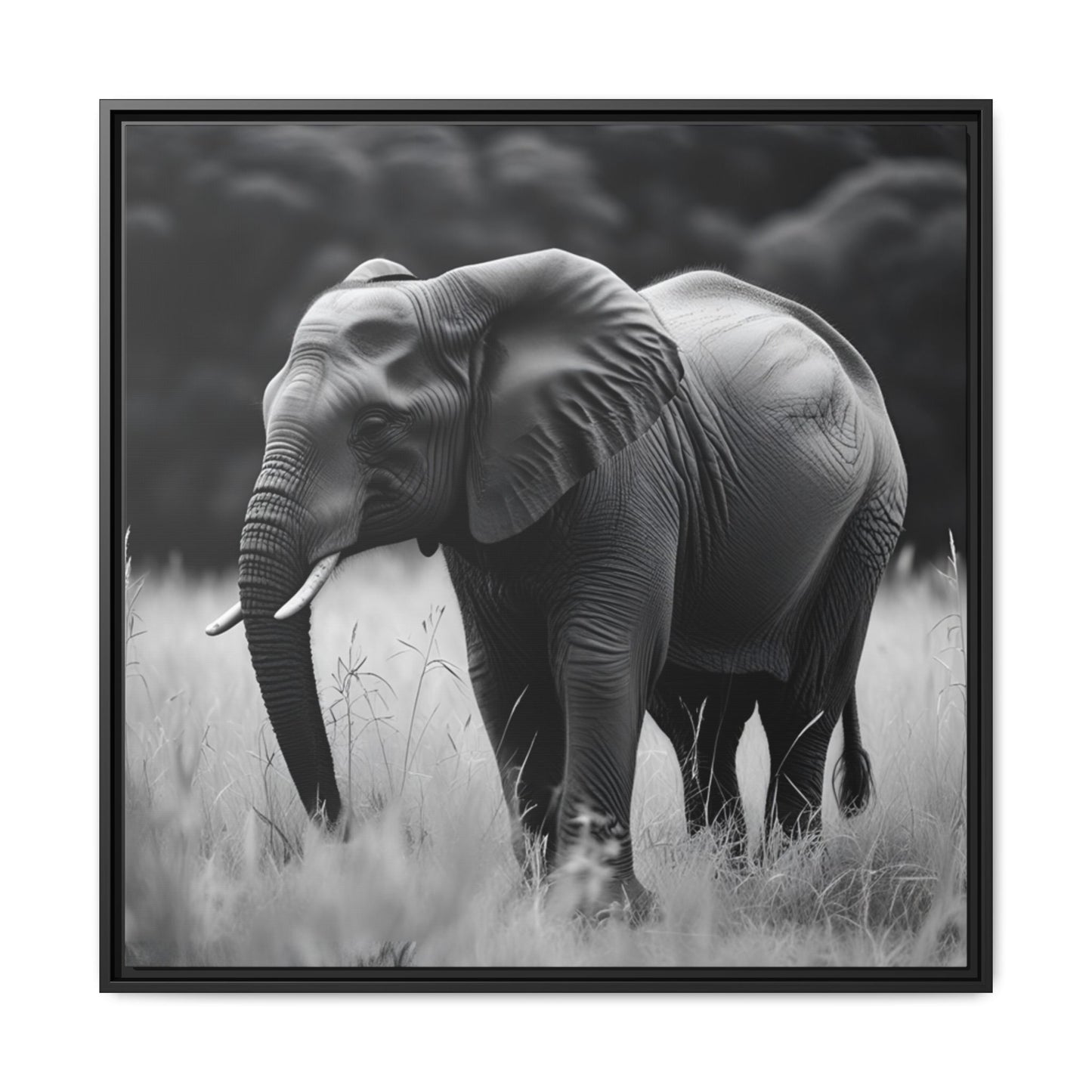 Black and white photo of an elephant in a grassy field with a black frame.