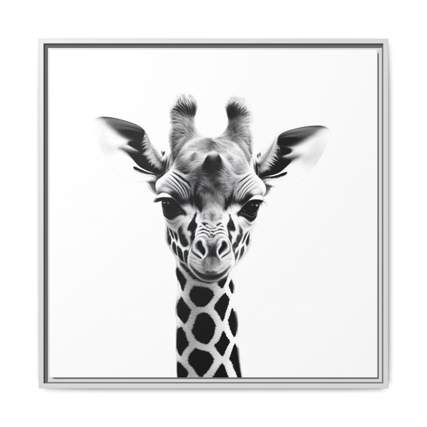 Baby Giraffe Wall Art Black & White Wildlife Photography Print, Cute Giraffe Lover Gift