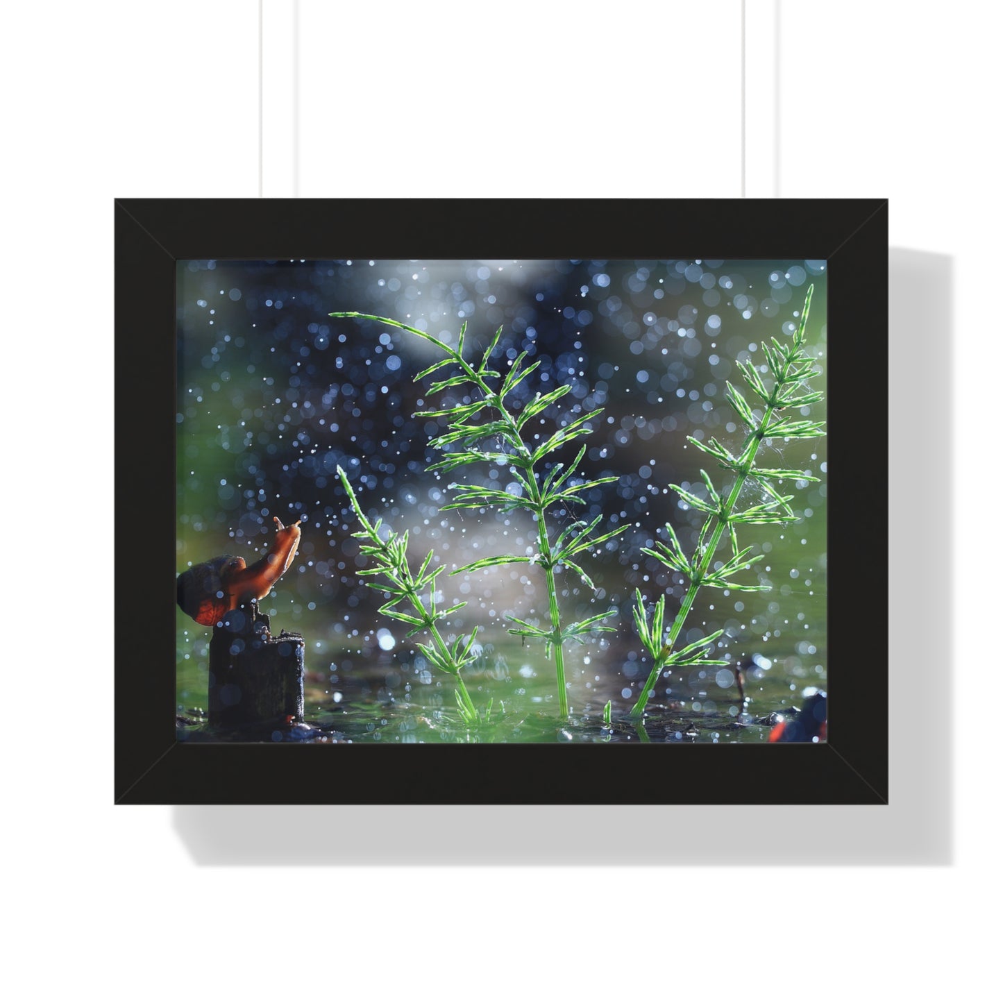 Snail Nature Wall Art – Rain Macro Botanical Print, Zen Forest Decor, Moody Nature, Calm Mindfulness Wall Art