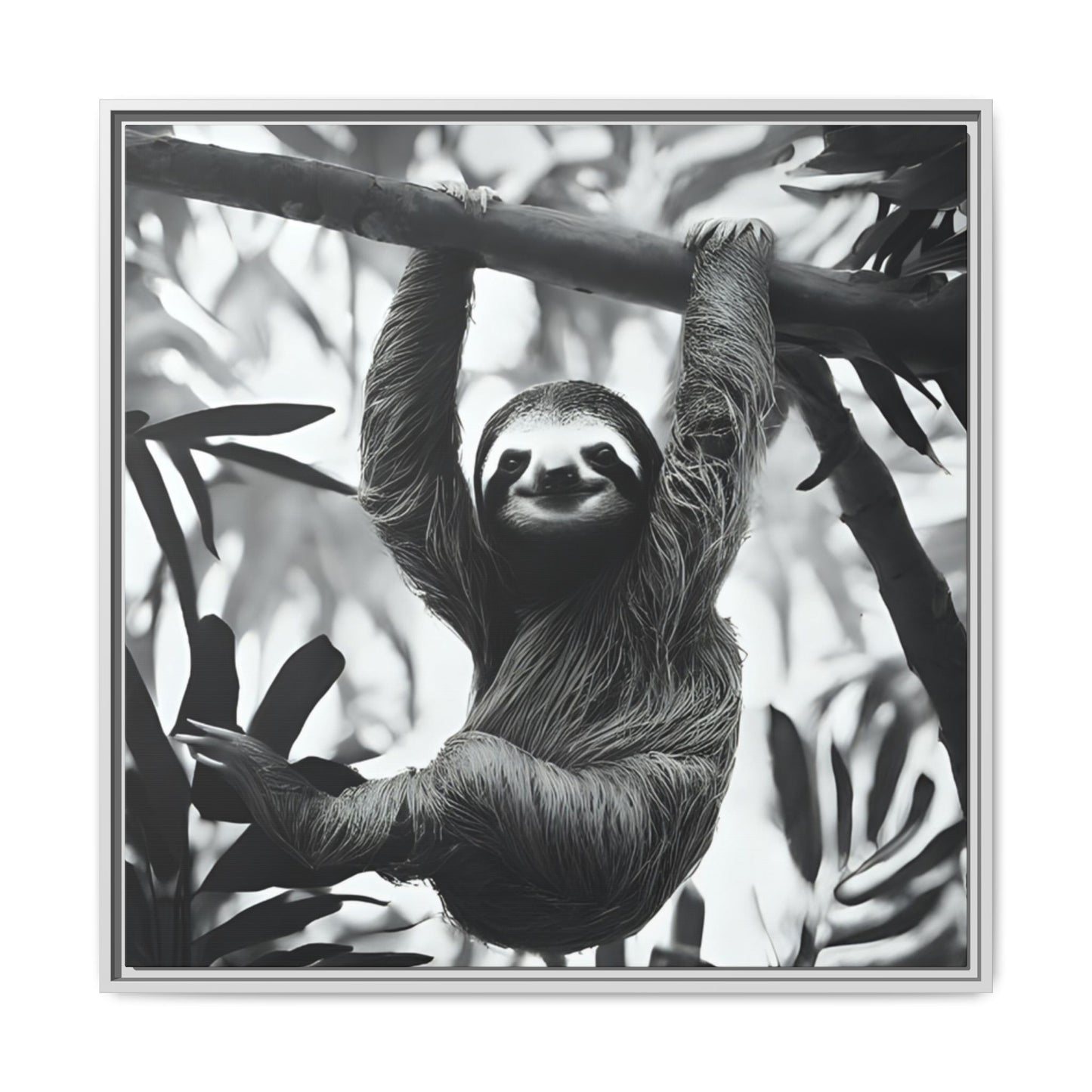 Playful Sloth Hanging from Tree Branch Black & White Animal Wall Art, Cute Sloth Photography Print, Jungle Theme Home Deco