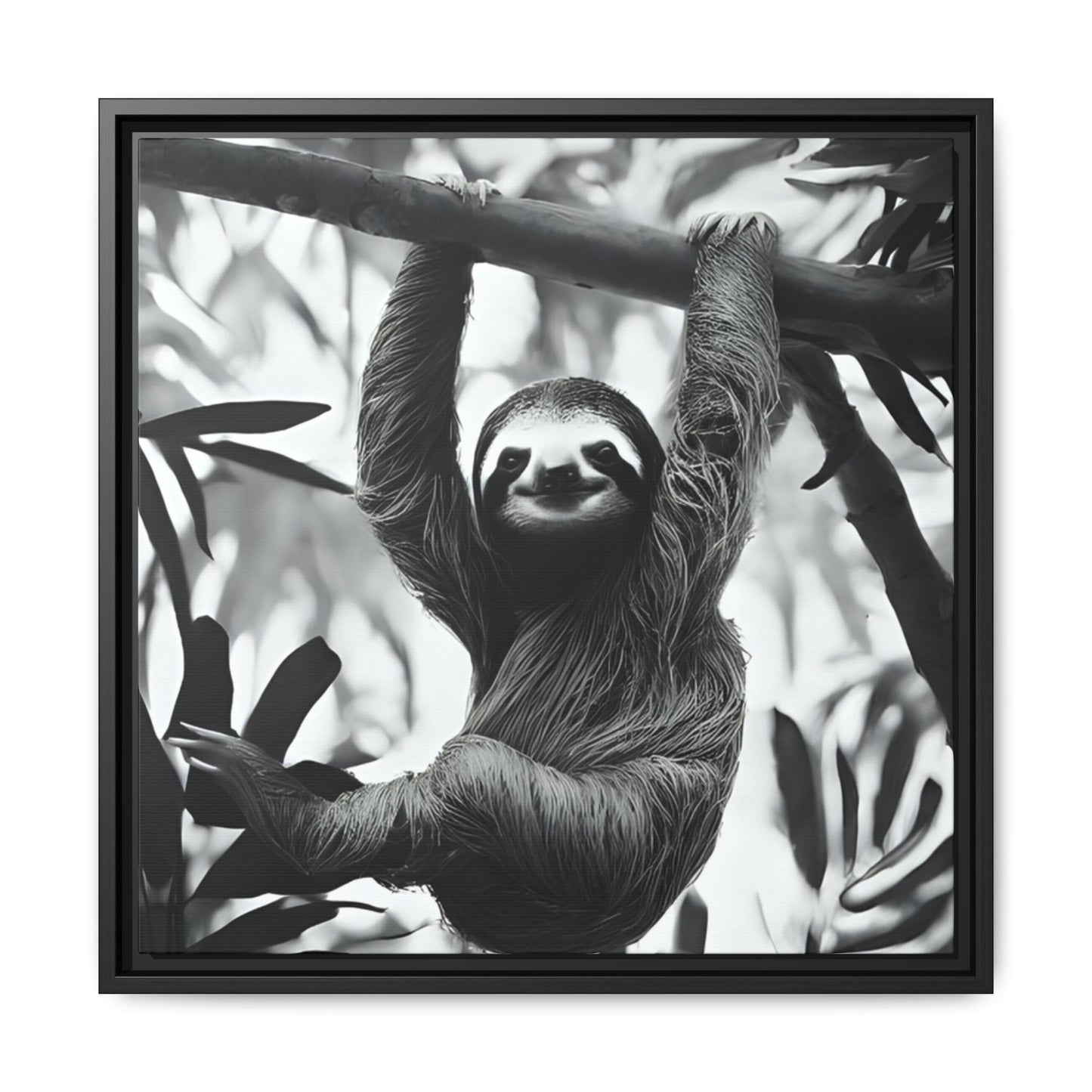 Playful Sloth Hanging from Tree Branch Black & White Animal Wall Art, Cute Sloth Photography Print, Jungle Theme Home Deco