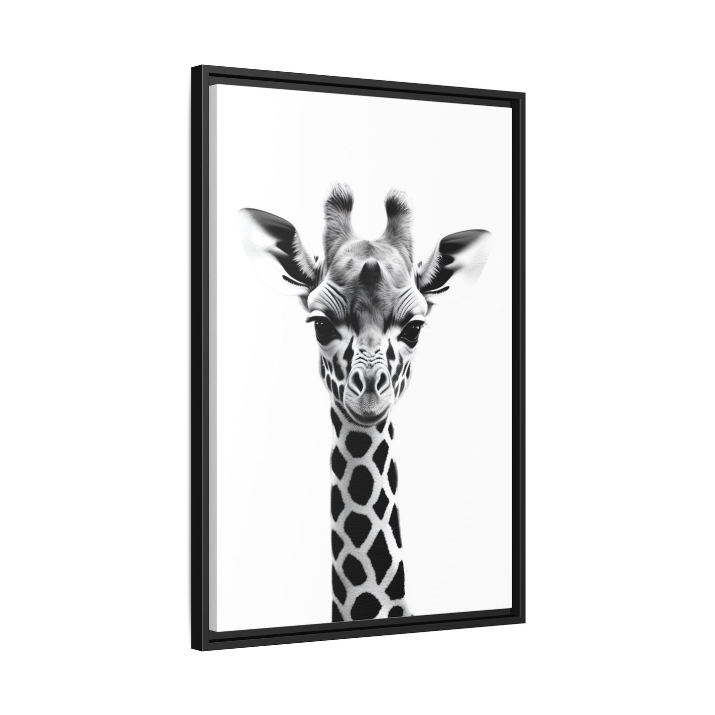 Baby Giraffe Wall Art Black & White Wildlife Photography Print, Cute Giraffe Lover Gift