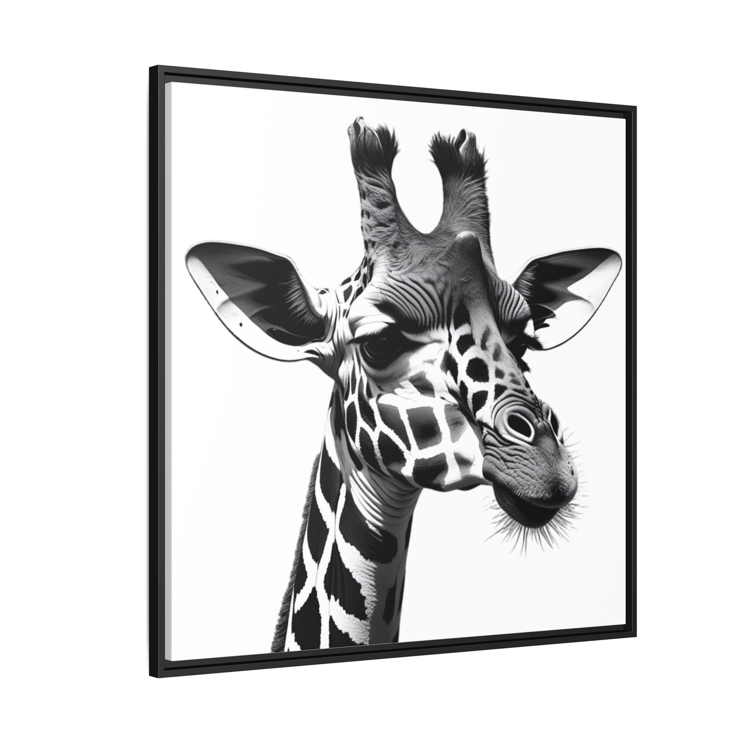 Black and White Giraffe Wall Art – Framed Safari Animal Canvas Print