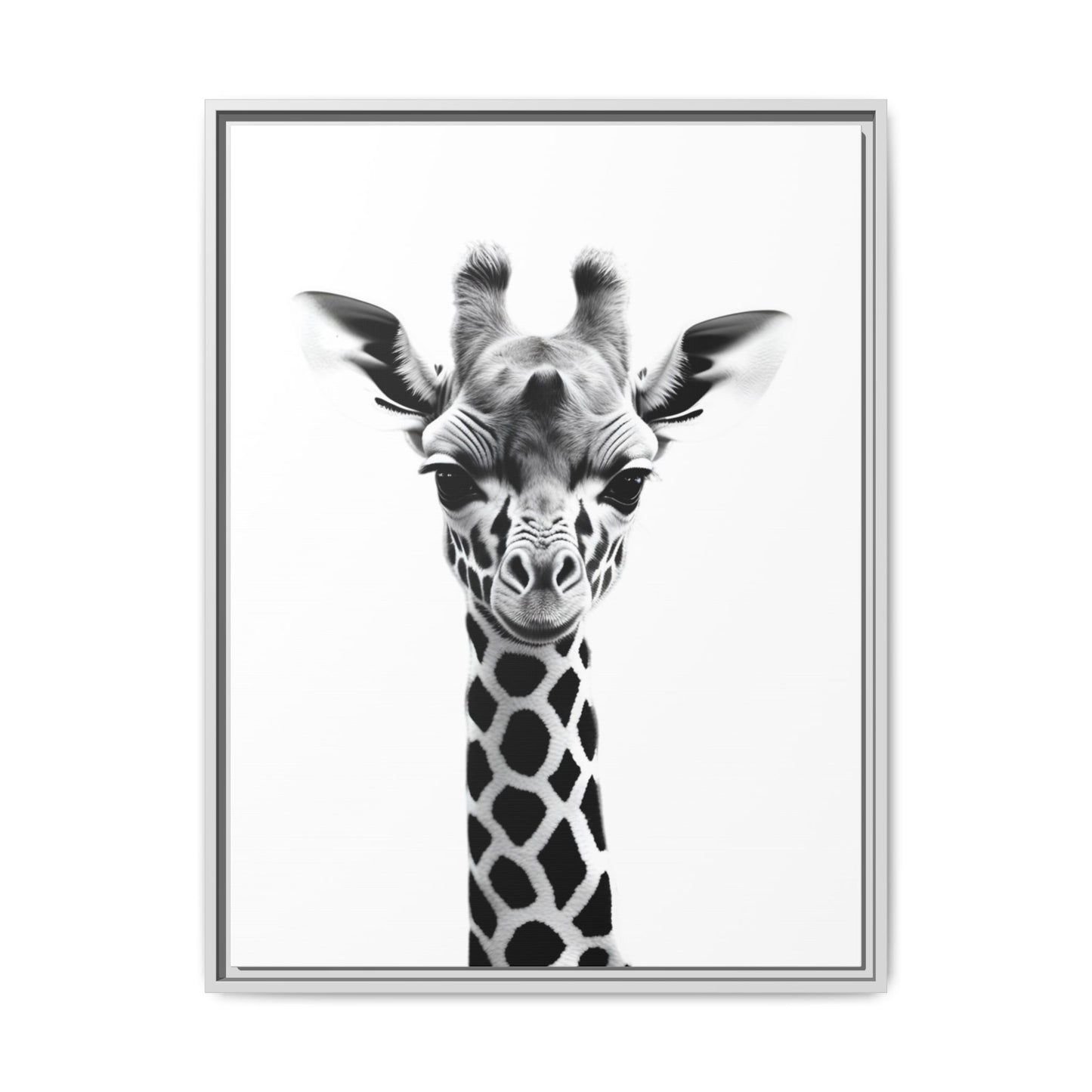 Baby Giraffe Wall Art Black & White Wildlife Photography Print, Cute Giraffe Lover Gift