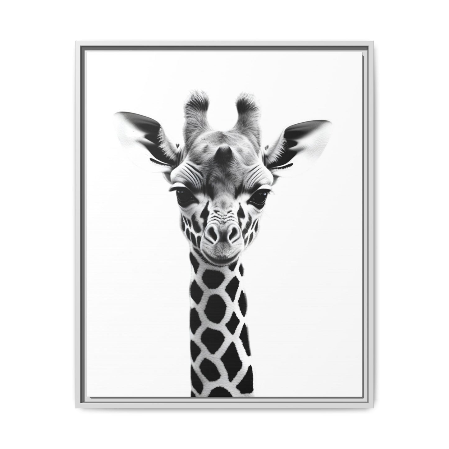 Baby Giraffe Wall Art Black & White Wildlife Photography Print, Cute Giraffe Lover Gift