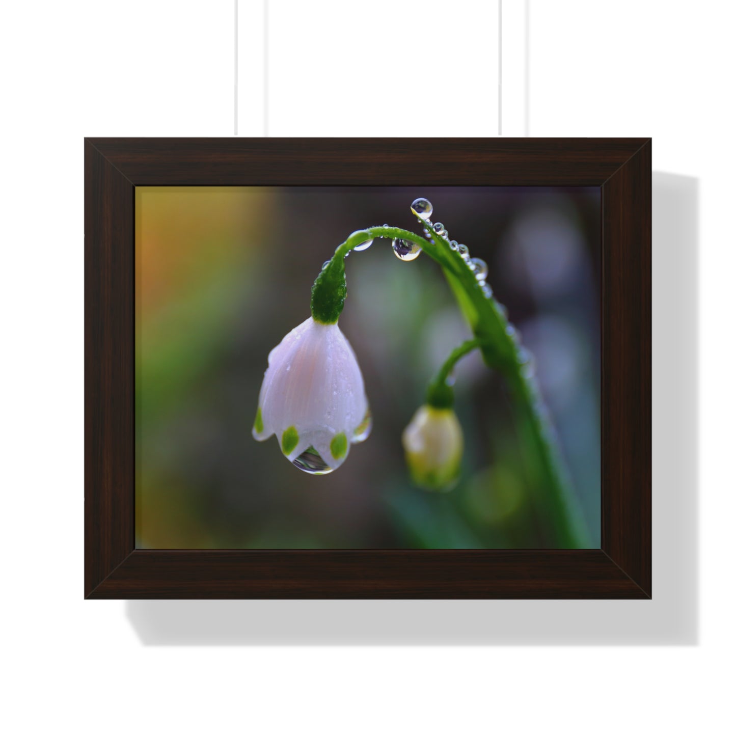Dew Drop Flower Framed Wall Art – Macro Nature Photography, Minimalist Floral Print, Elegant Botanical Home Decor