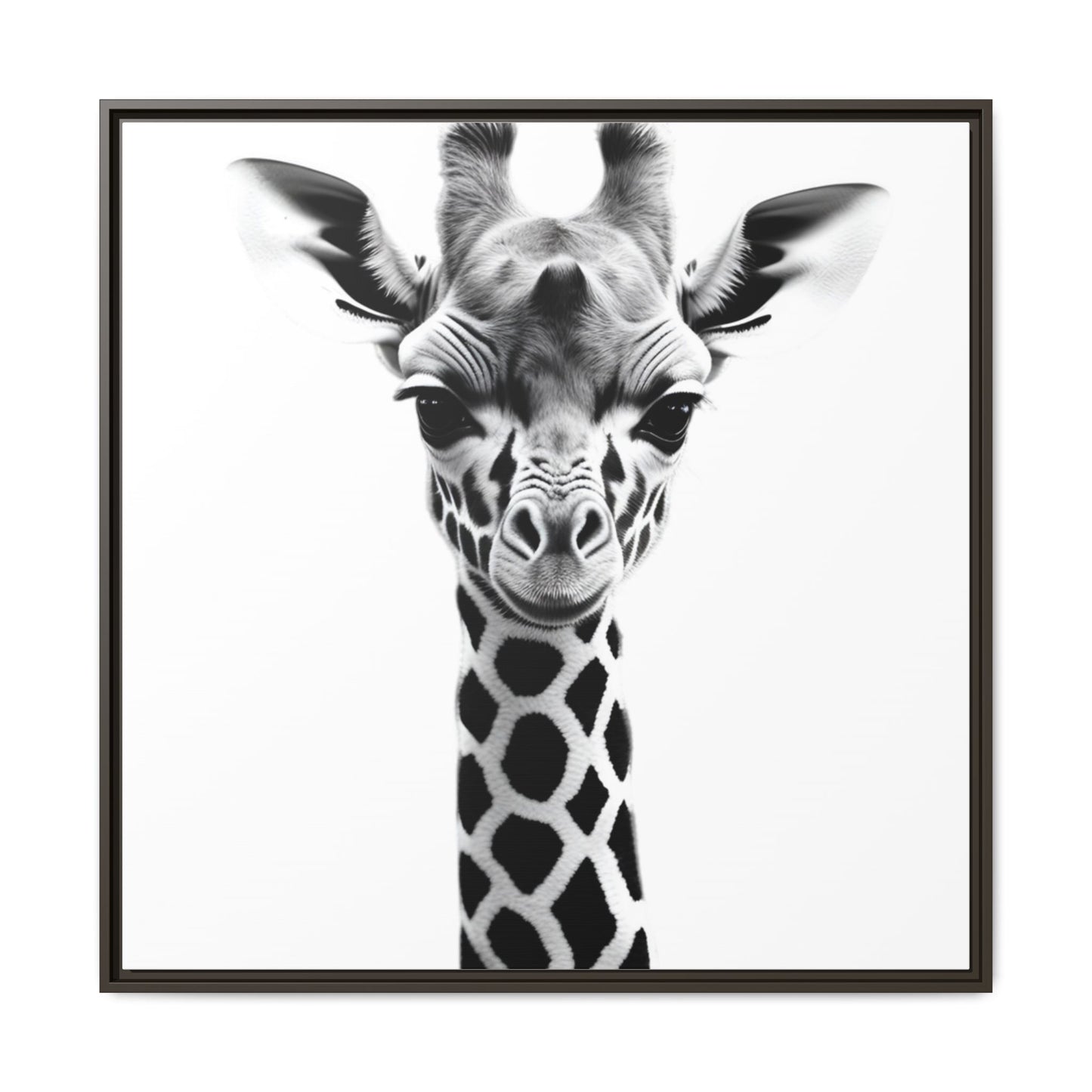 Baby Giraffe Wall Art Black & White Wildlife Photography Print, Cute Giraffe Lover Gift