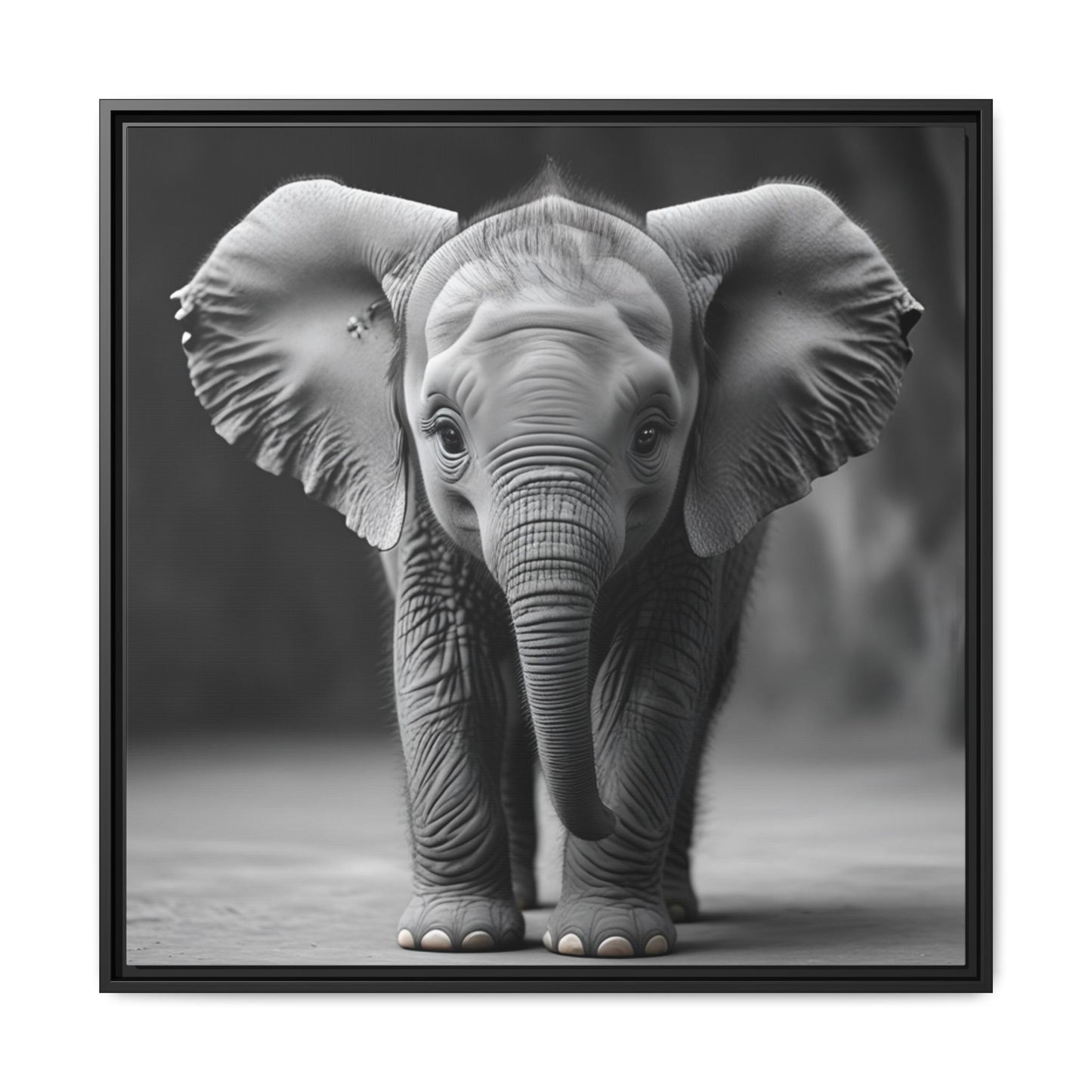 Adorable Baby Elephant Wall Art Black & White Wildlife Photography Print, Cute Safari Animal Home Decor, Elephant Lover Gift