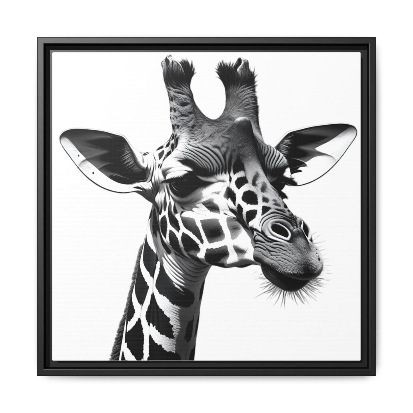 Black and White Giraffe Wall Art – Framed Safari Animal Canvas Print