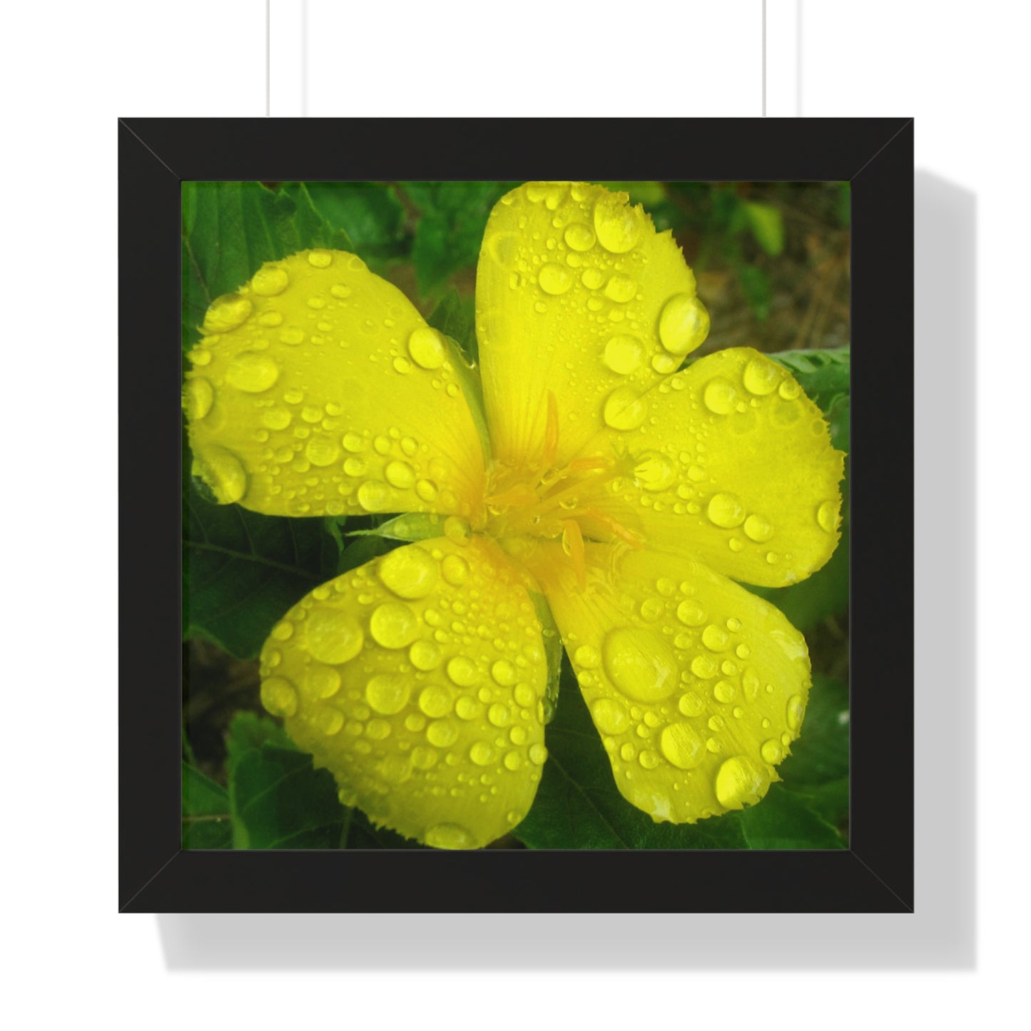 Rain Kissed Yellow Flower Framed Art – Elegant Botanical Wall Decor, Bright Nature Print for Living Room Bedroomift