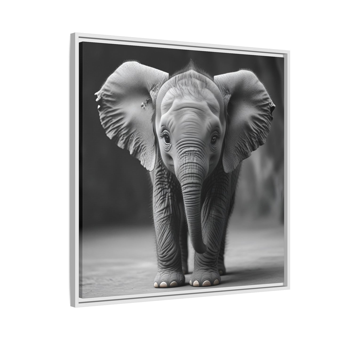 Adorable Baby Elephant Wall Art Black & White Wildlife Photography Print, Cute Safari Animal Home Decor, Elephant Lover Gift