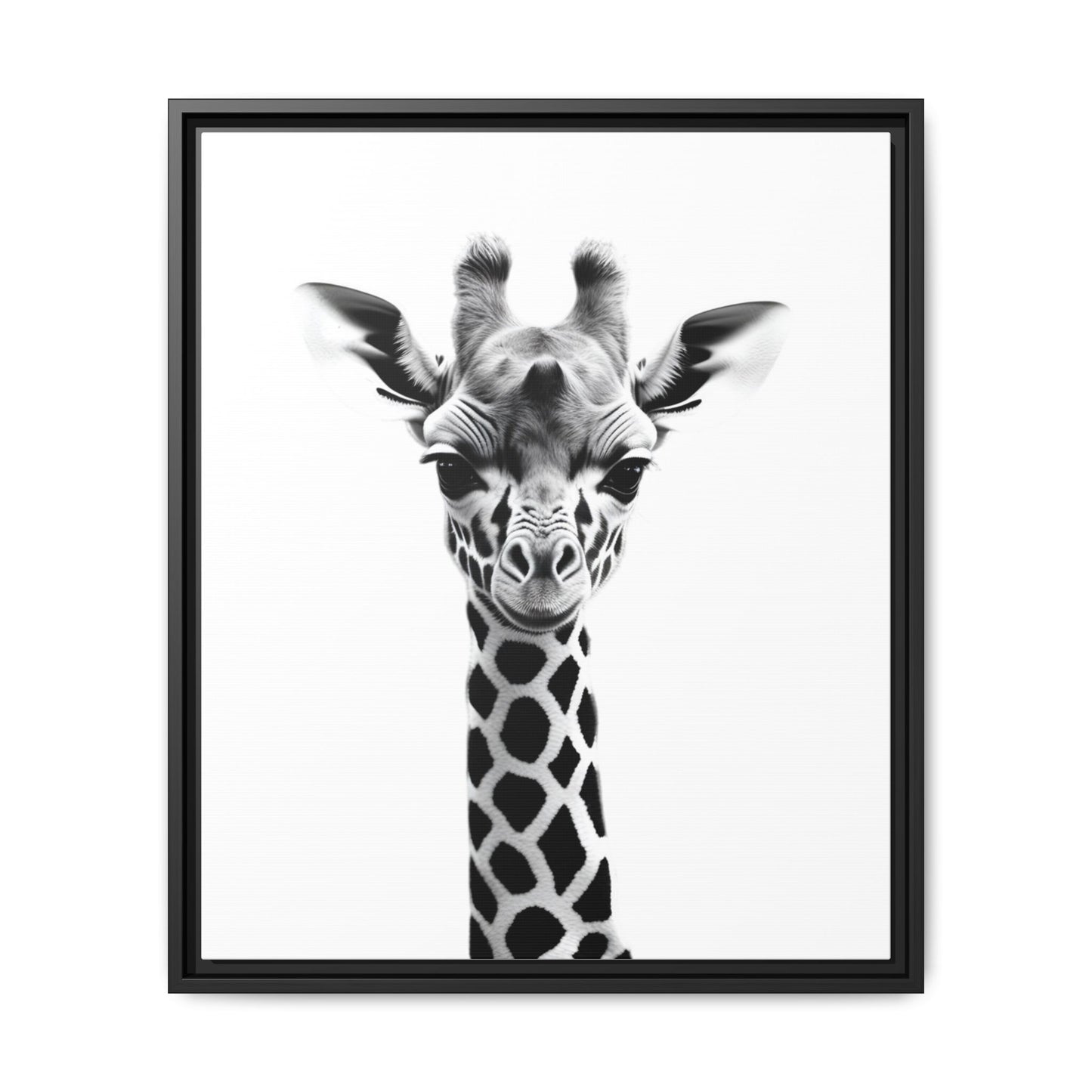 Baby Giraffe Wall Art Black & White Wildlife Photography Print, Cute Giraffe Lover Gift