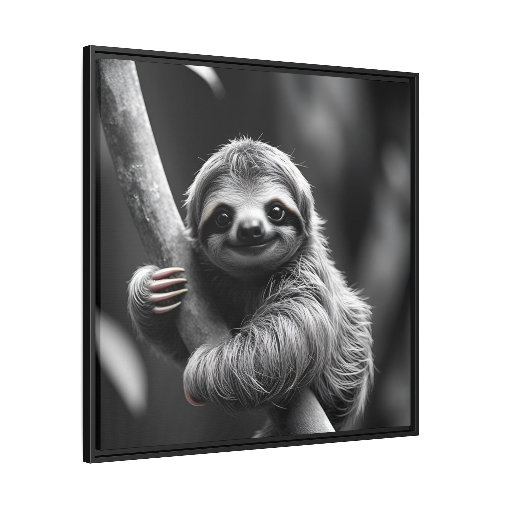 Framed black and white photo of a sloth hanging on a branch