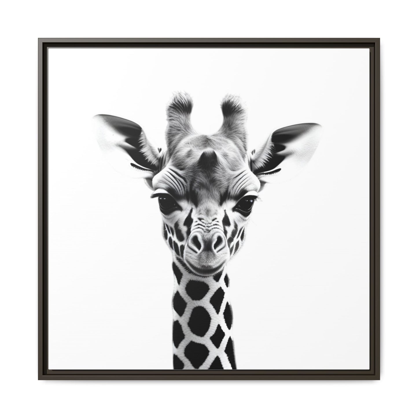 Baby Giraffe Wall Art Black & White Wildlife Photography Print, Cute Giraffe Lover Gift