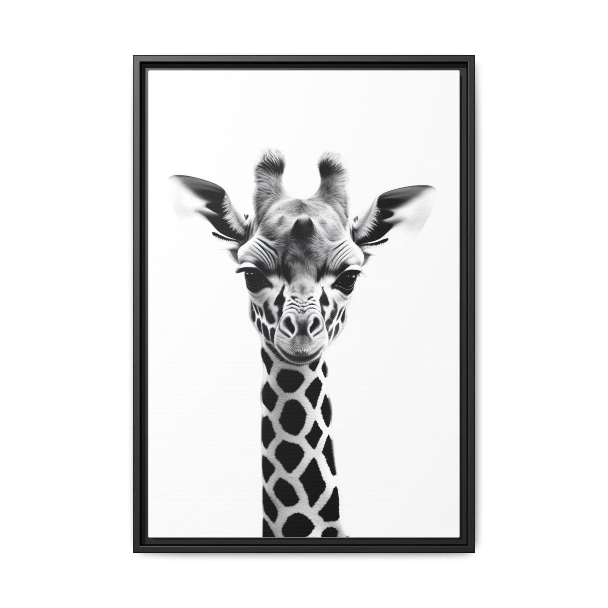 Framed black and white photo of a giraffe's face on a white background
