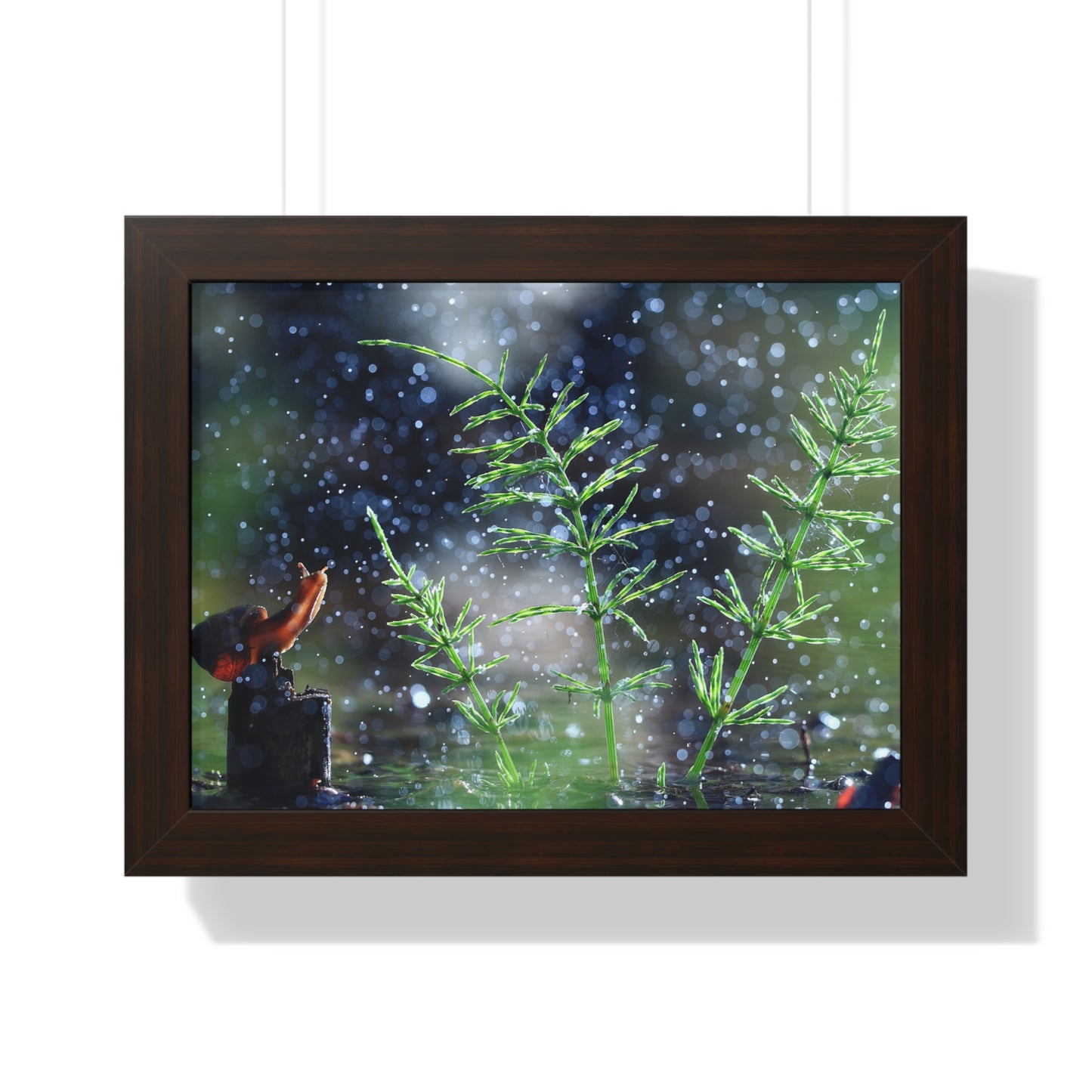 Snail Nature Wall Art – Rain Macro Botanical Print, Zen Forest Decor, Moody Nature, Calm Mindfulness Wall Art