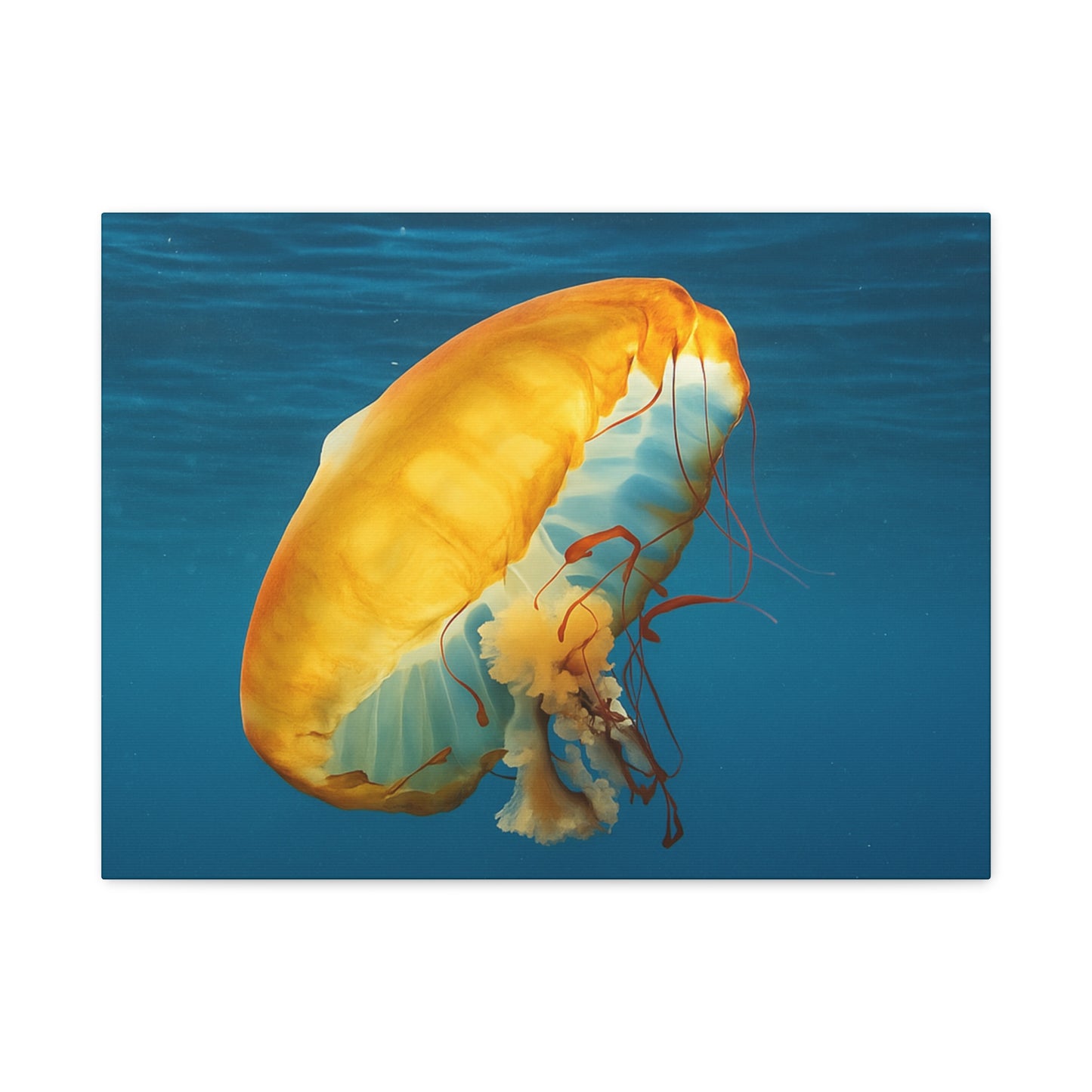 Jellyfish swimming in clear blue water