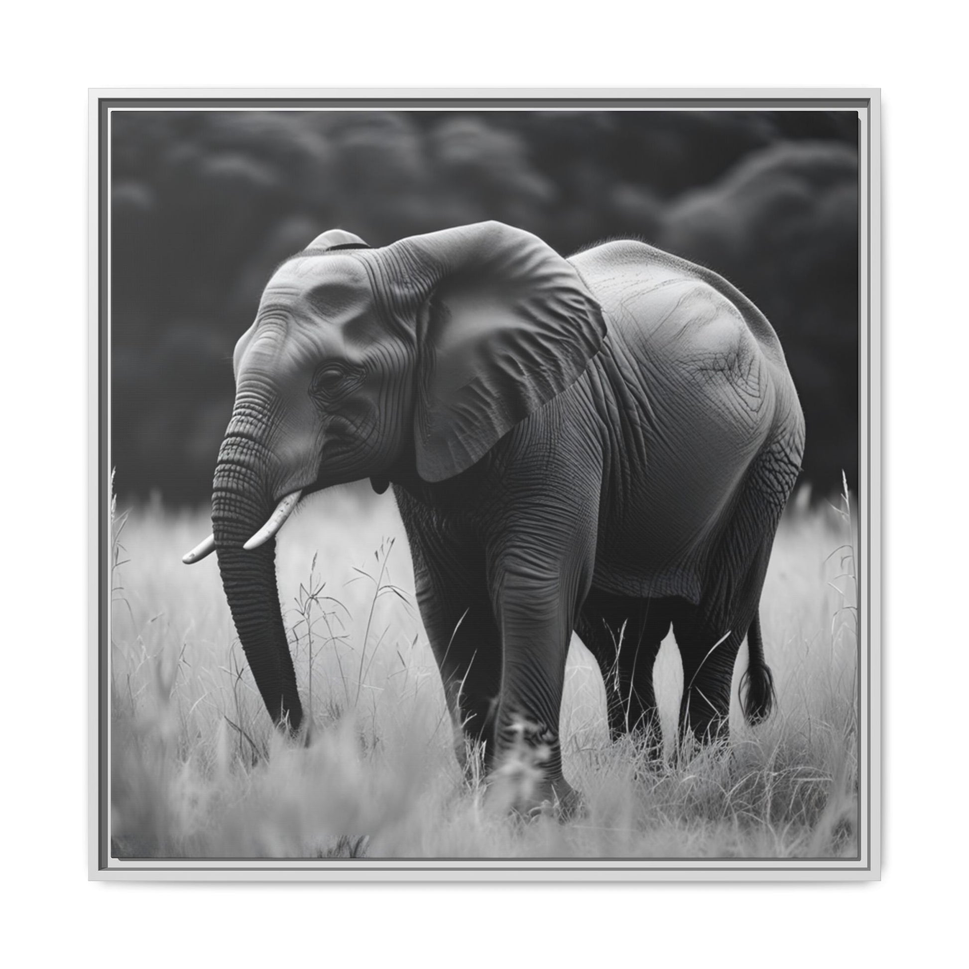 Black and white photo of an elephant in a grassy field with a black frame.