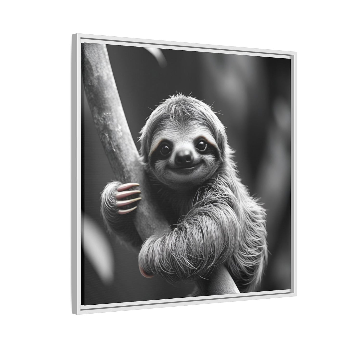 Framed artwork of a sloth hanging from a branch on a white background