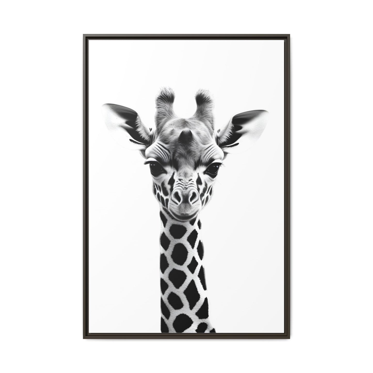 Baby Giraffe Wall Art Black & White Wildlife Photography Print, Cute Giraffe Lover Gift