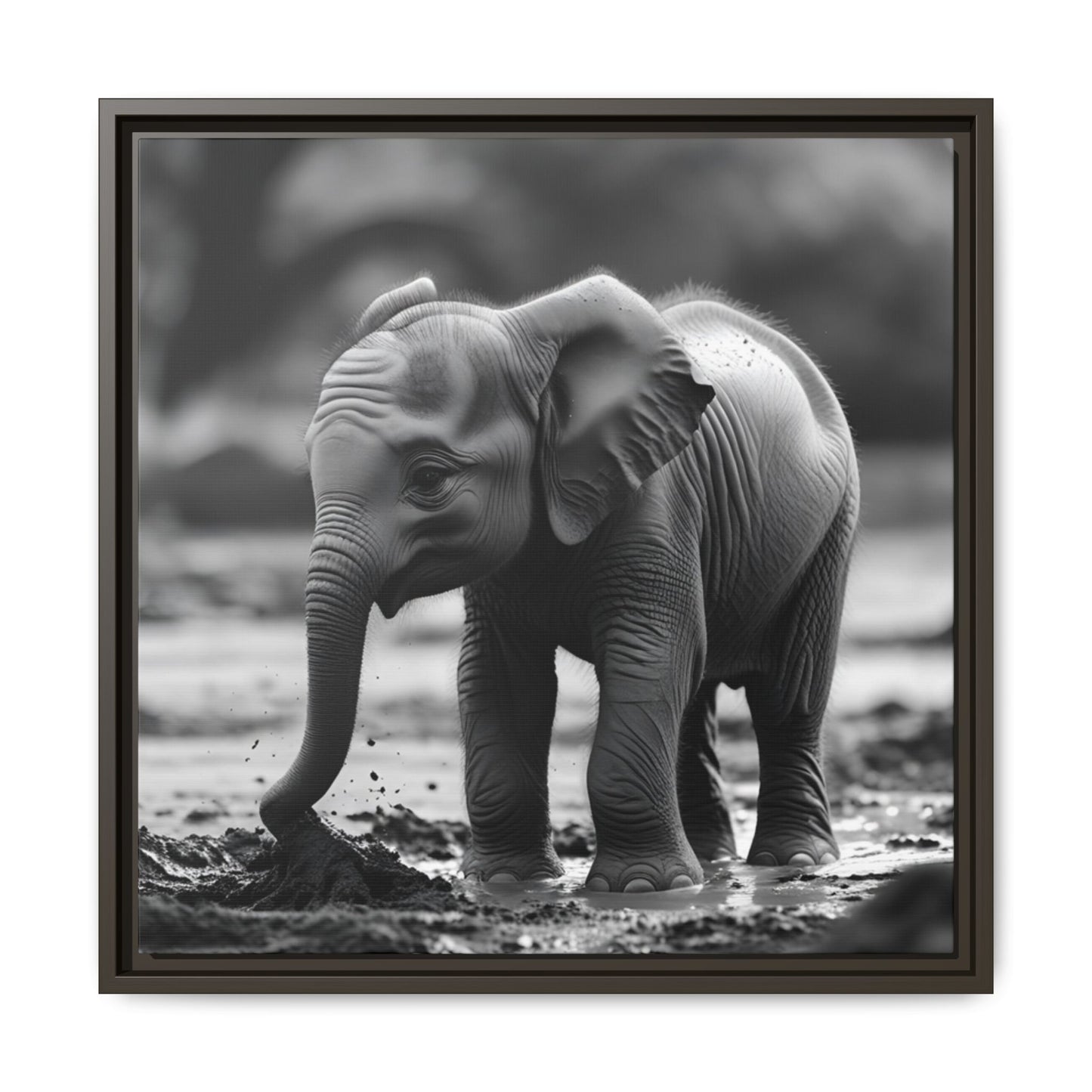Black and white photo of a baby elephant playing in water